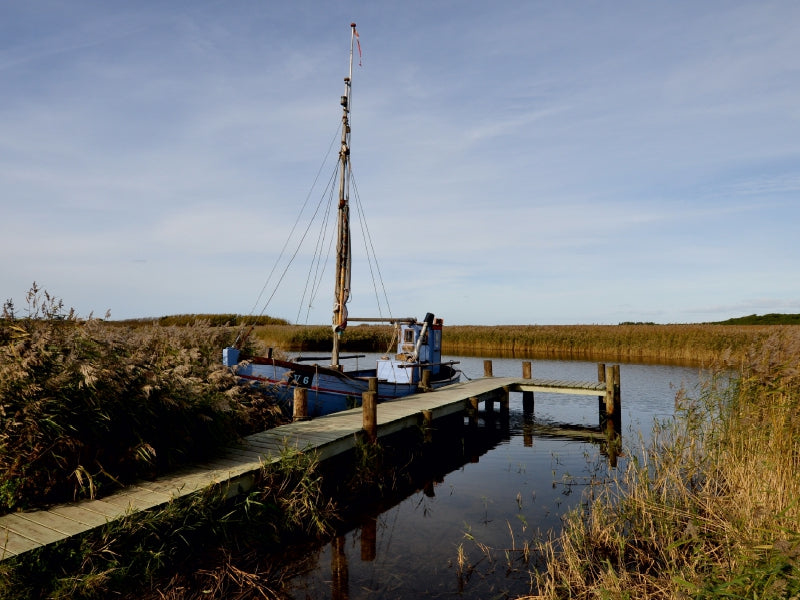 Ein kleines blaues Fischerboot liegt an einem Holzsteg in einem von Schilf umgebenen Gewässer.