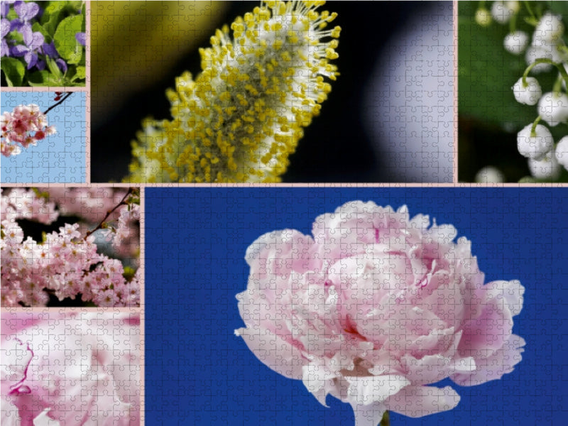 Ein Puzzle zeigt verschiedene Blumen, darunter gelbe Kätzchen, rosa Pfingstrosen und weiße Maiglöckchen.