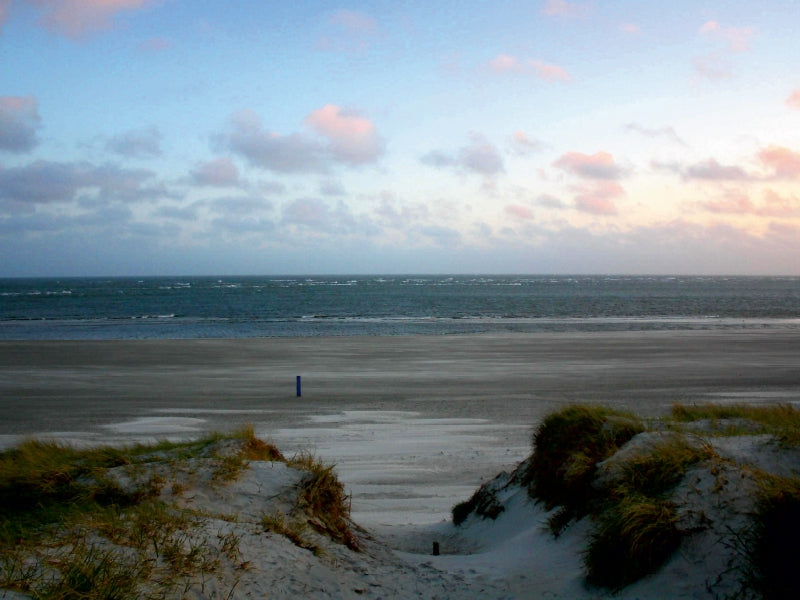 Sanddünen führen zu einem weiten, ruhigen Strand unter einem bewölkten Himmel.