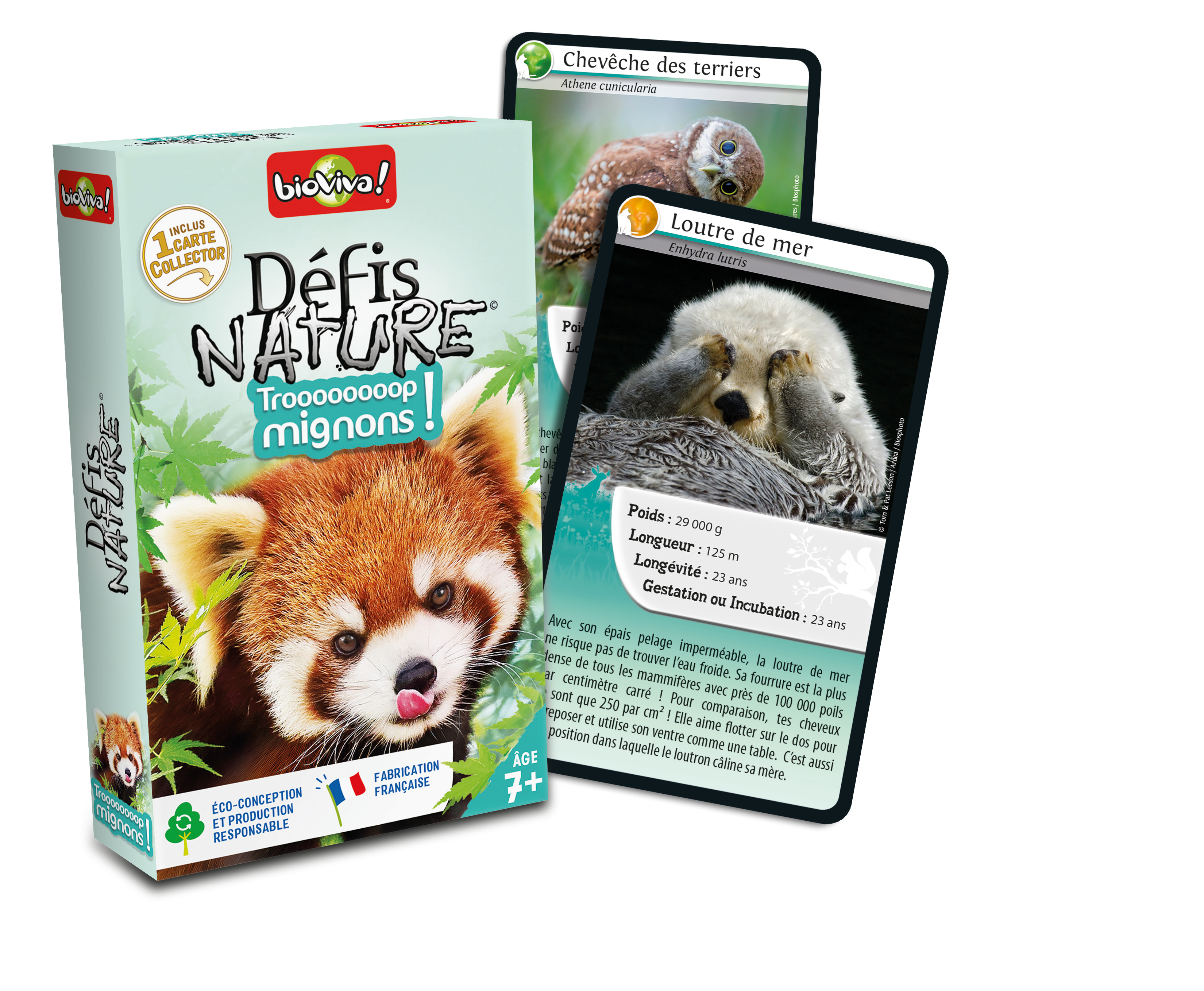 BioViva Kartenspiel mit einer Schachtel und zwei Tieren, einem Roten Panda und einem Seeotter auf den Karten.