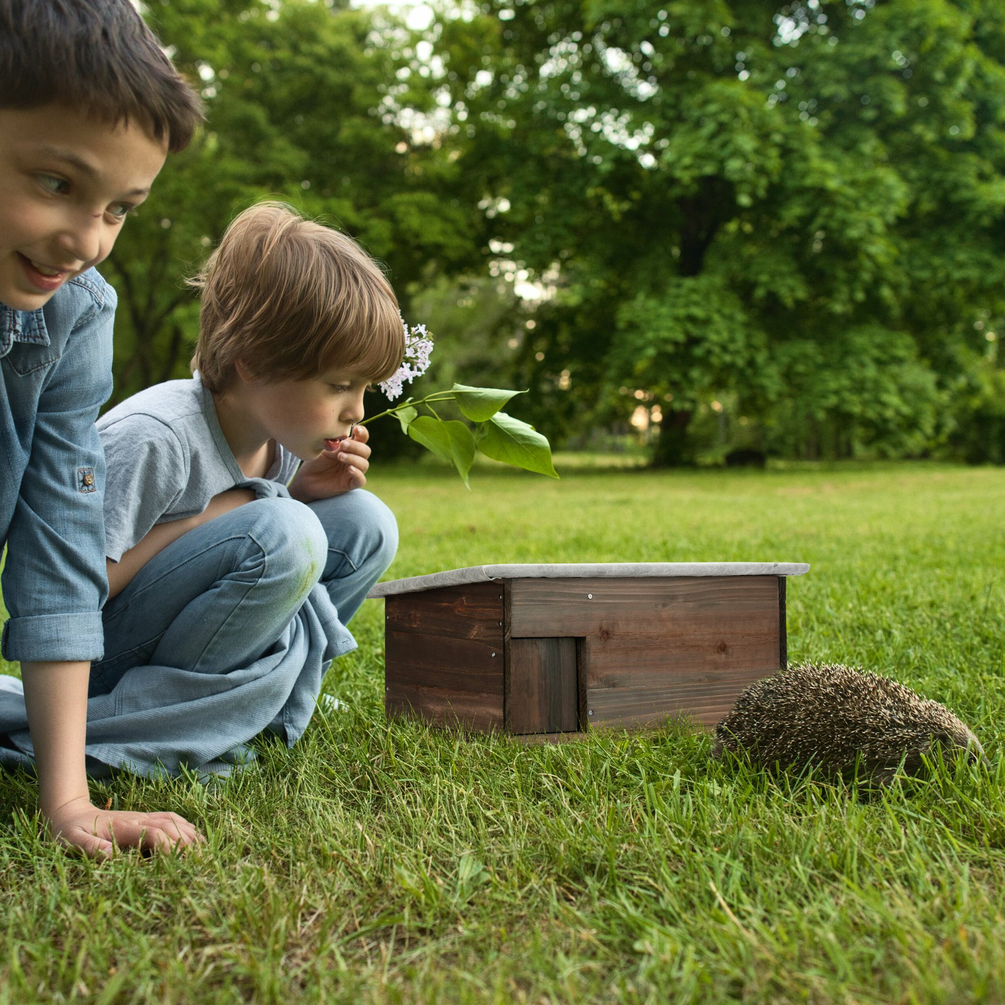 Zwei Jungen beobachten einen Igel in der Nähe eines Holzhauses in einem grünen Park.