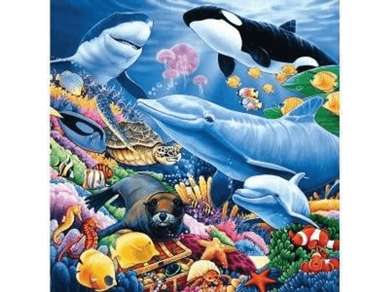 Escena submarina con delfines, orca, tiburón, foca, tortuga y peces coloridos cerca de un arrecife.