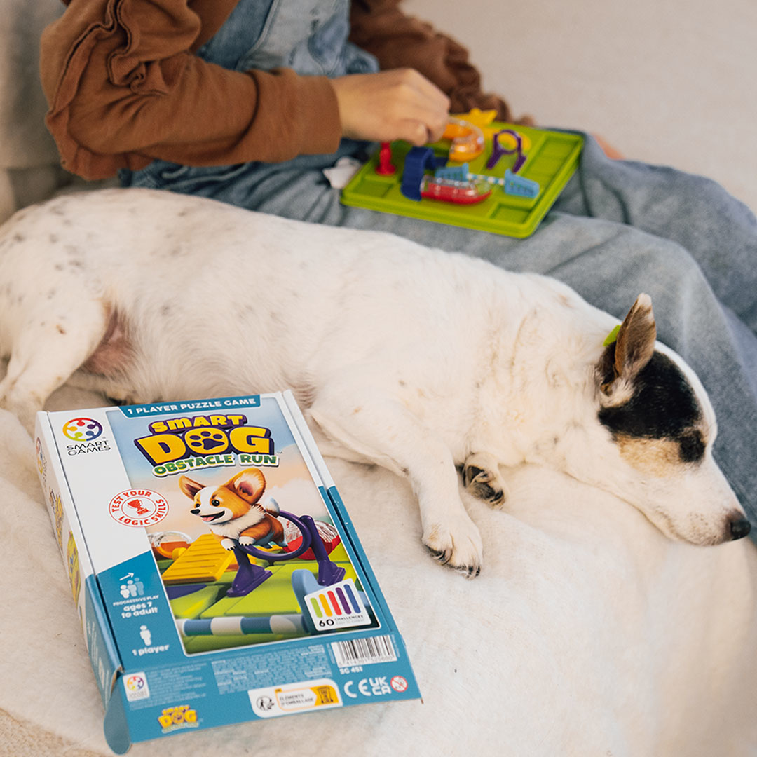 Ein weißer Hund liegt neben einer Smart Dog Puzzle-Spielbox, während im Hintergrund eine Person ein Spiel löst.