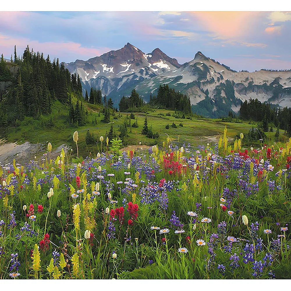 Bunte Wildblumen auf einer Wiese im Vordergrund mit schneebedeckten Bergen und Bäumen im Hintergrund unter einem Abendhimmel.