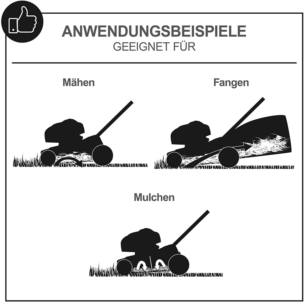 Diagramm zeigt drei Funktionen eines Rasenmähers: Mähen, Fangen und Mulchen.