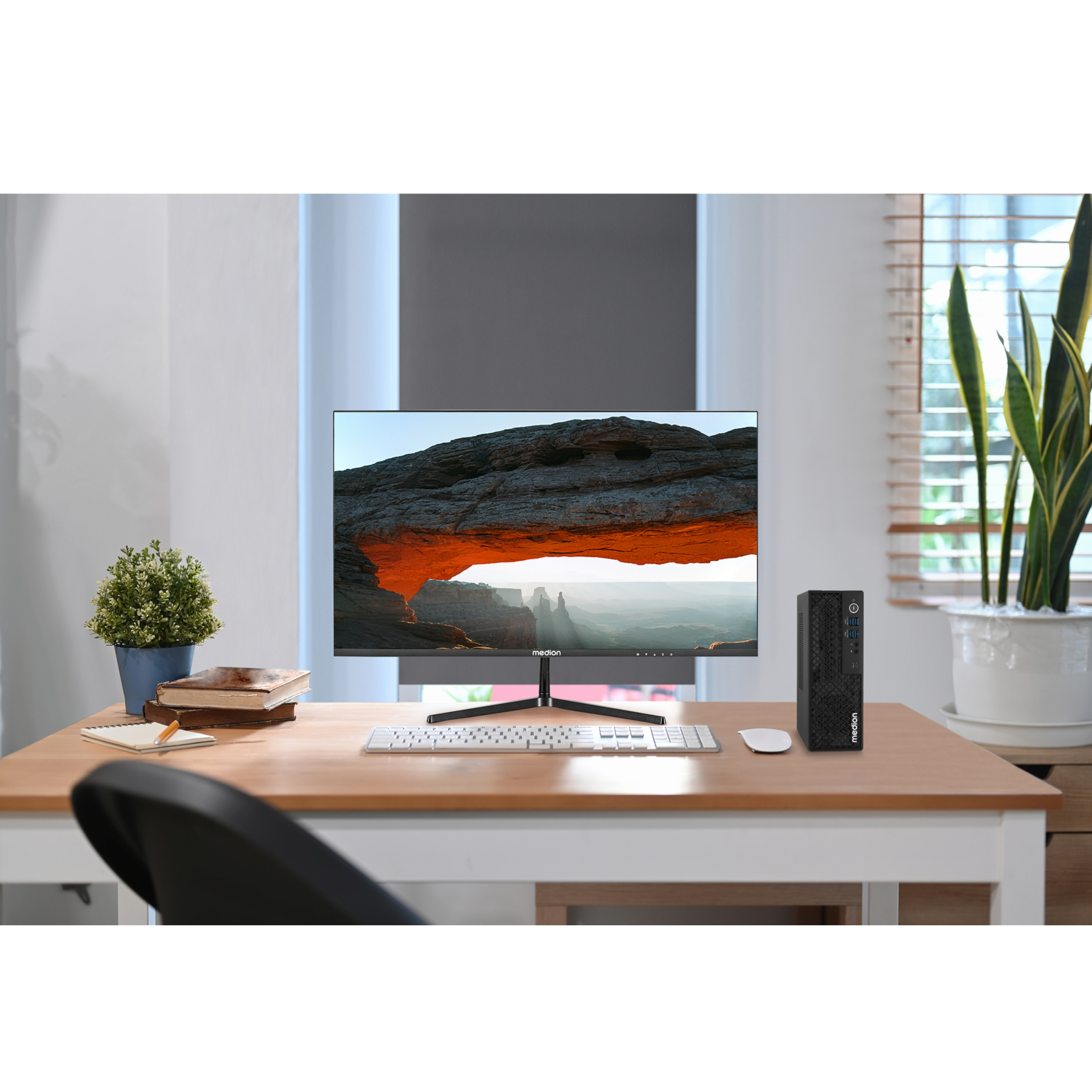 Ein Schreibtisch mit Monitor, Tastatur, Maus und PC-Tower, flankiert von Pflanzen in einem hellen Raum.