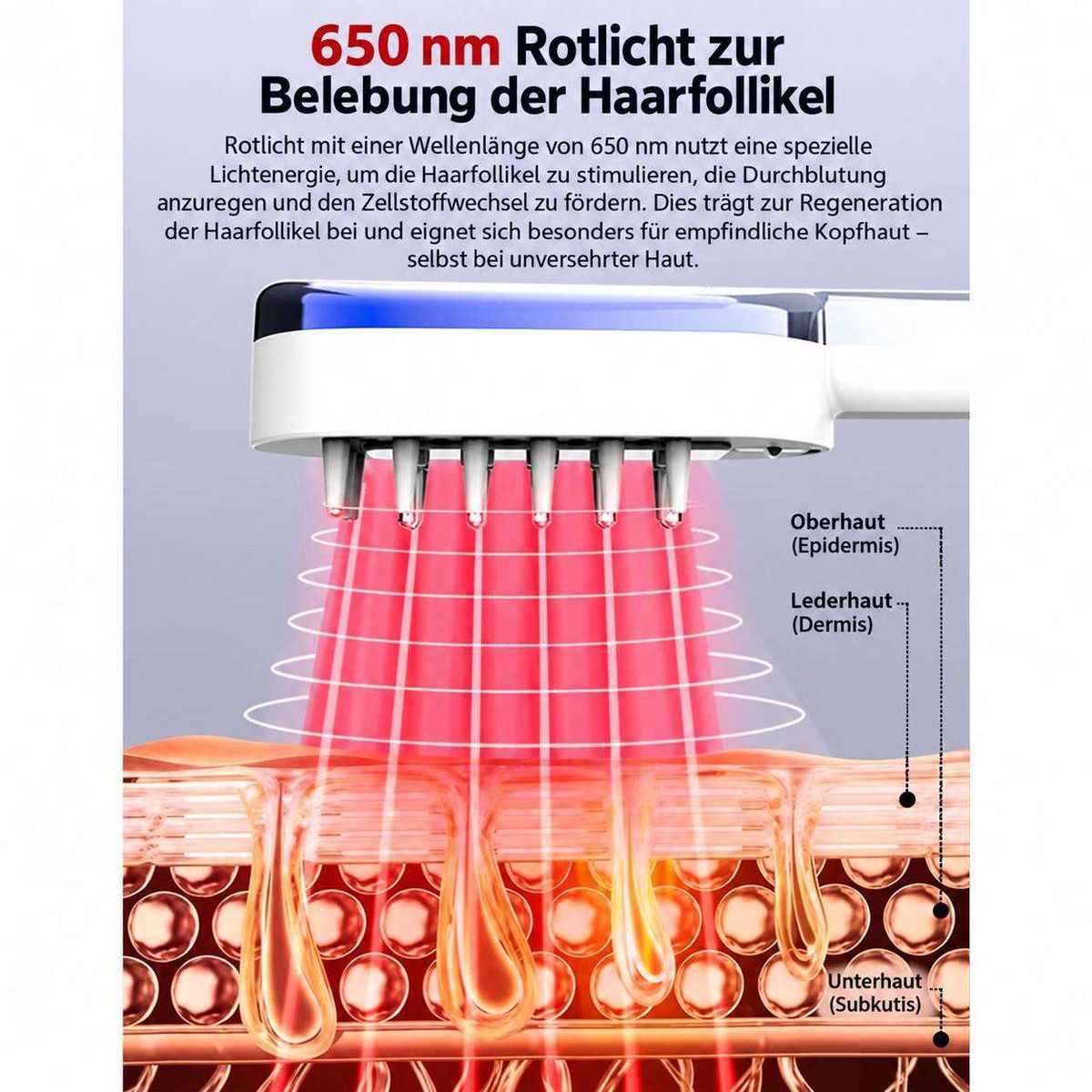 Diagramm zeigt 650 nm Rotlicht, das Haarfolikel in den Hautschichten stimuliert.