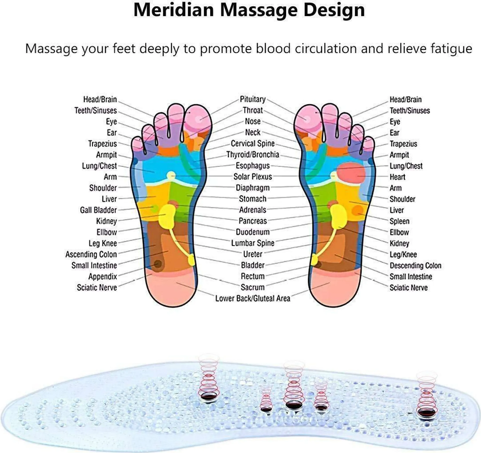 Fußreflexzonen-Diagramm und transparente Massage-Einlegesohle mit roten Ringen.