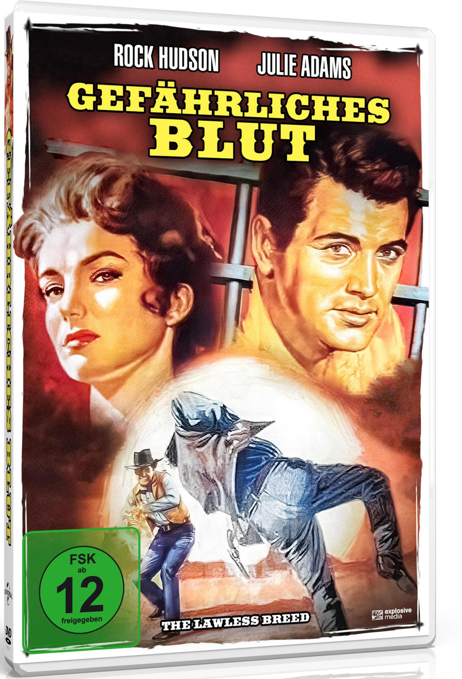 Filmposter "Gefährliches Blut" mit Rock Hudson und Julie Adams sowie einer Western-Szene.