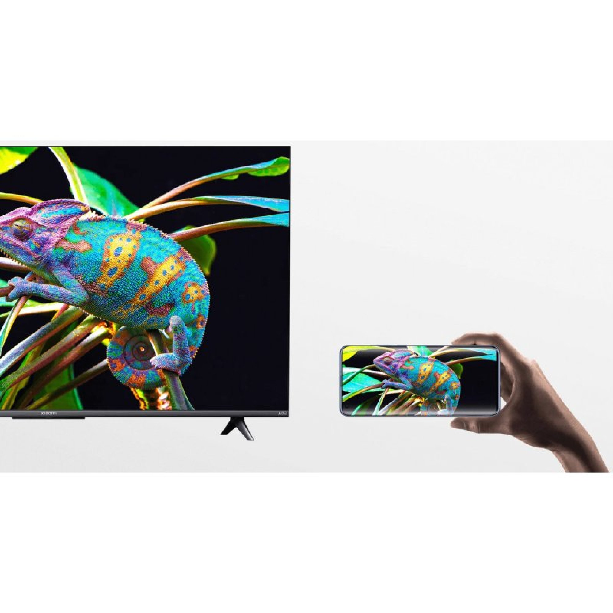 Una televisione e uno smartphone mostrano lo stesso camaleonte colorato su un ramo.