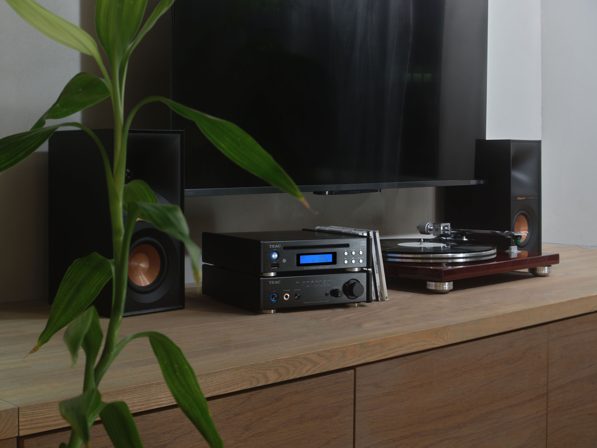 Componentes de audio negros con altavoces, tocadiscos y TV sobre mueble de madera, planta verde en primer plano.