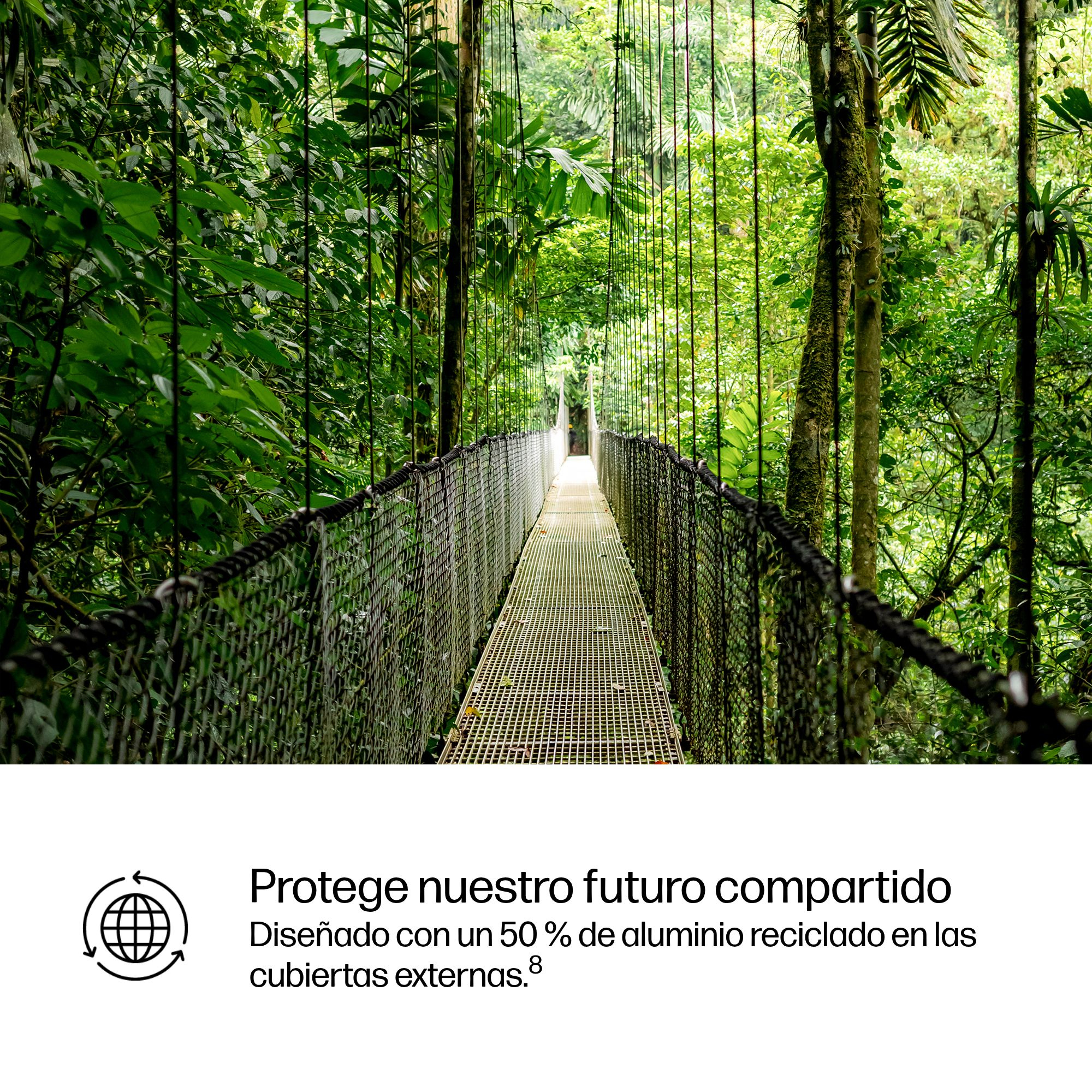 Un puente colgante atraviesa una selva tropical verde y densa con árboles y follaje.