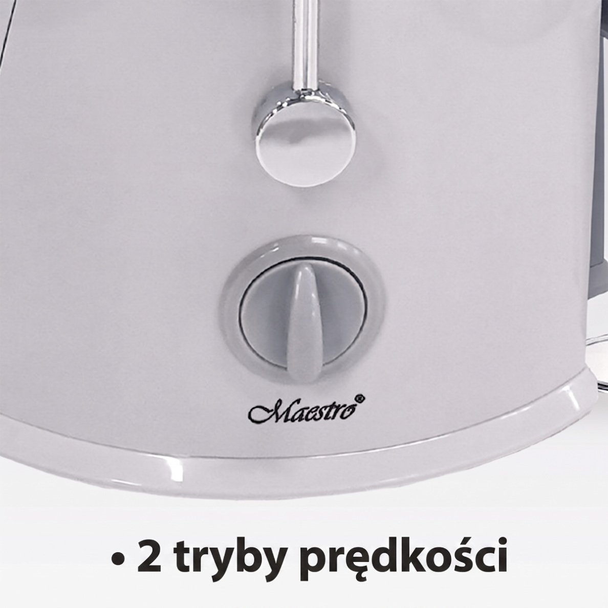 Primo piano di un elettrodomestico grigio Maestro con manopola e logo, e testo sotto che indica due velocità.