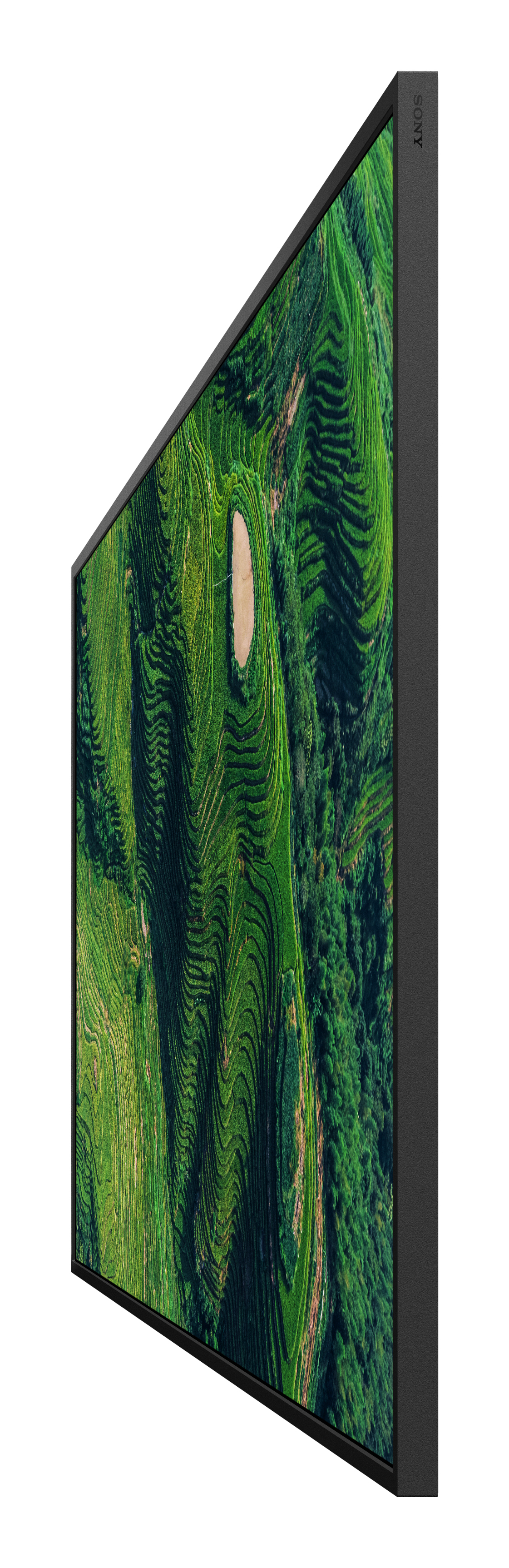 Vue latérale d'un téléviseur Sony noir et mince affichant une image de paysage vert.