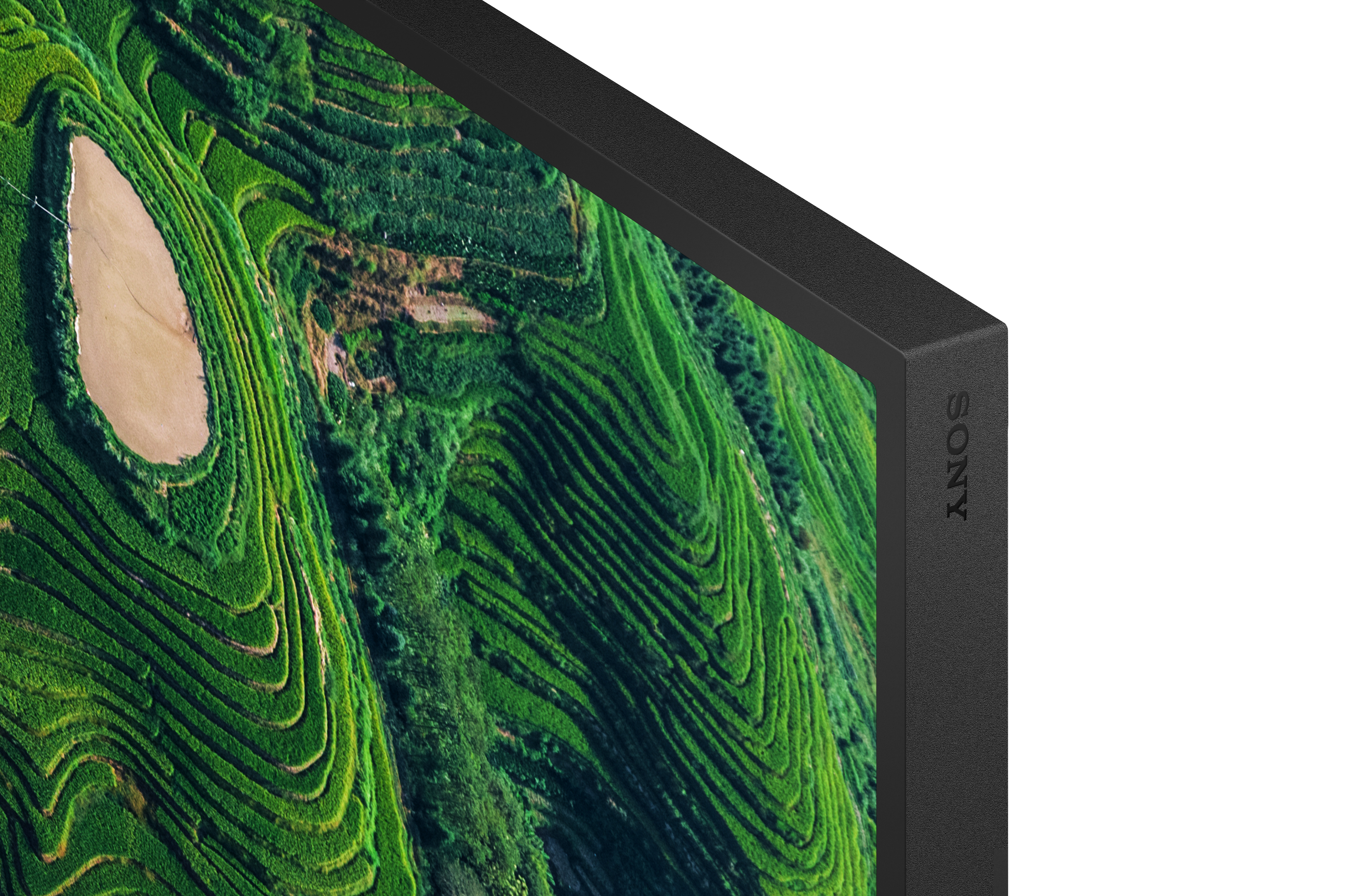 Coin d'un téléviseur Sony affichant des rizières vertes sur fond blanc.