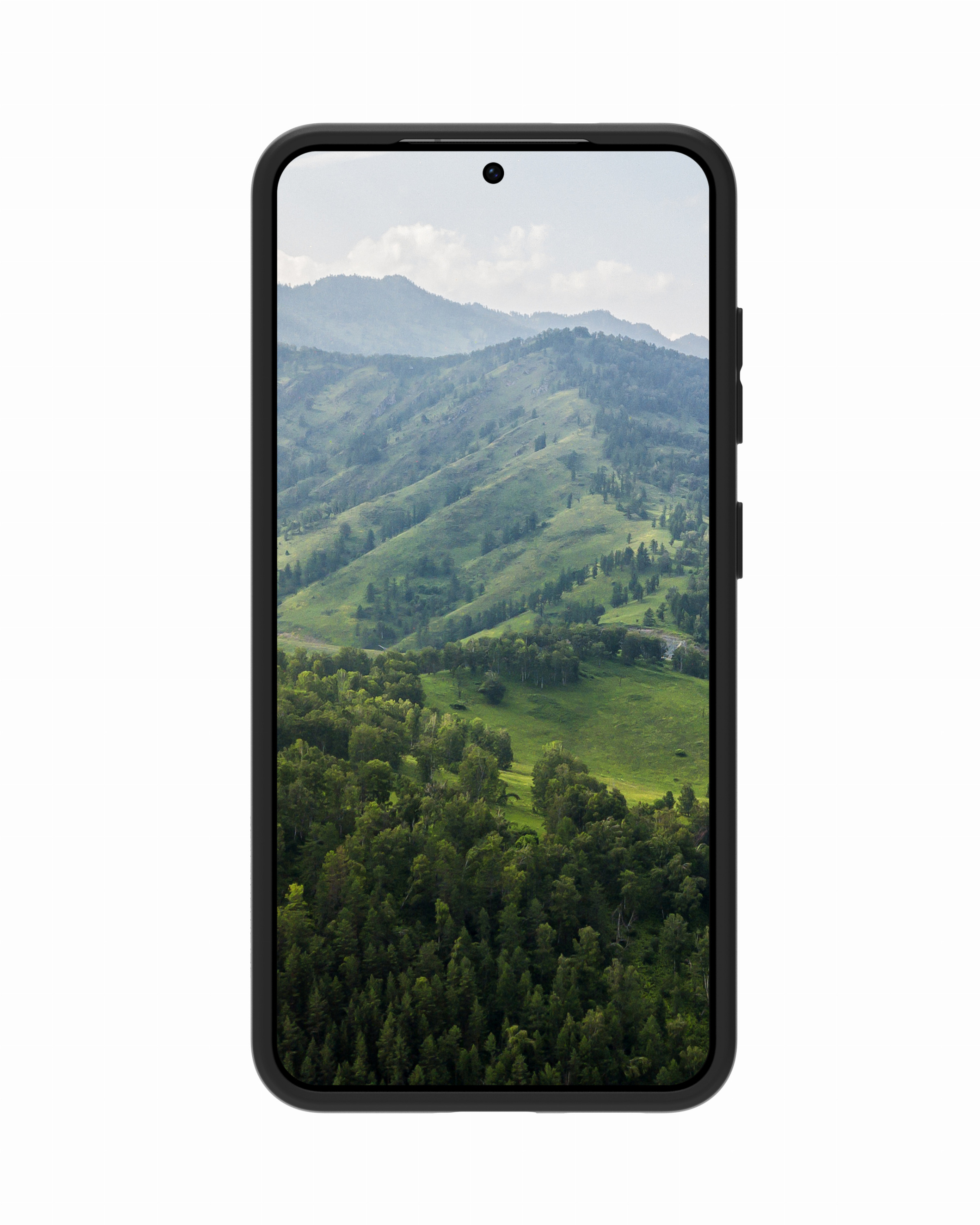 Uno smartphone nero mostra l'immagine di montagne verdi e boscose sotto un cielo luminoso.