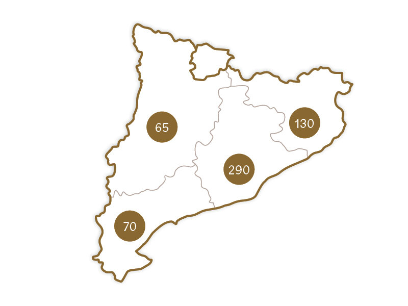 Mapa de contorno de una región con cuatro círculos marrones y números: 65, 70, 290 y 130.