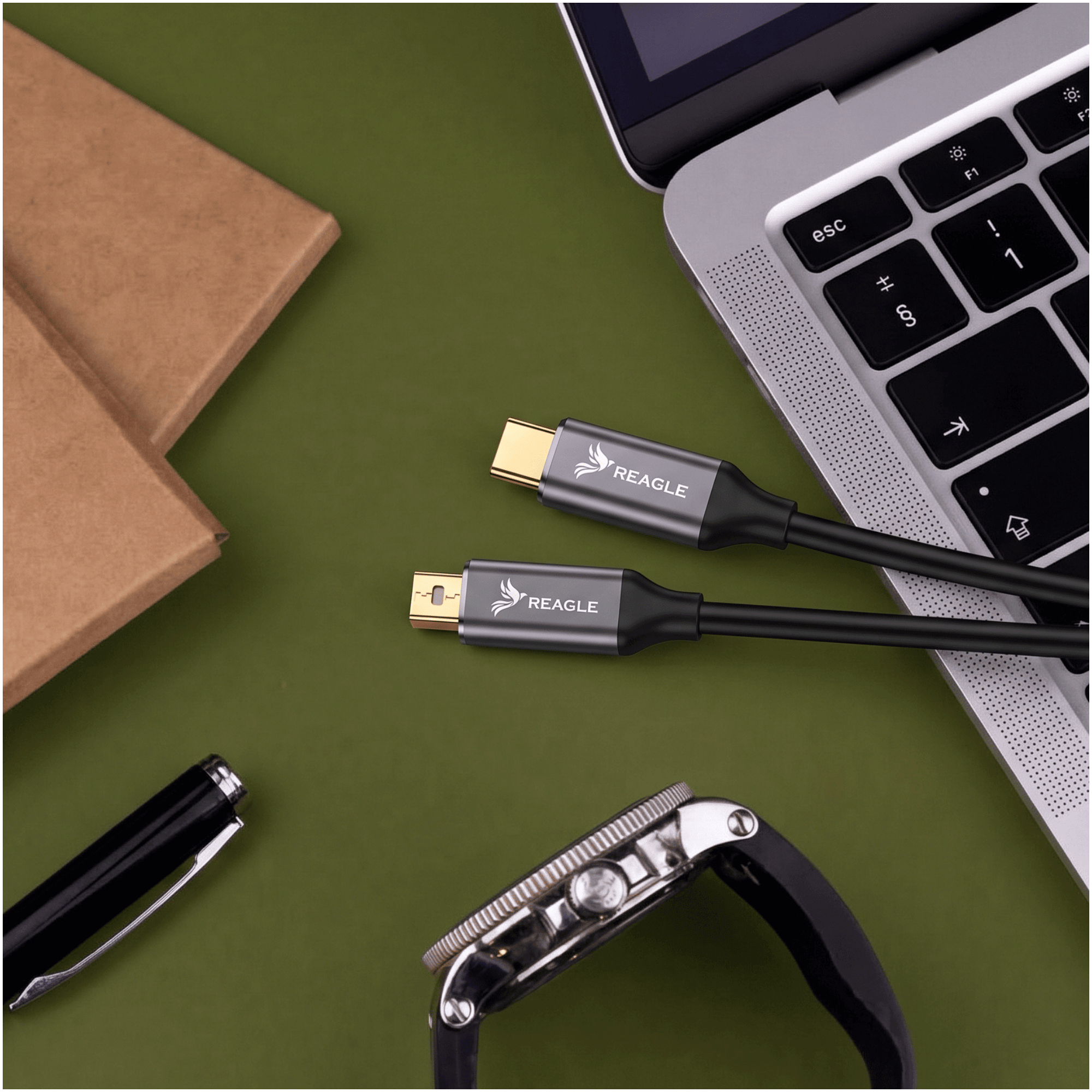Zwei Reagle Kabel liegen neben einem Laptop, Notizbuch, Stift und einer Uhr auf einem grünen Tisch.