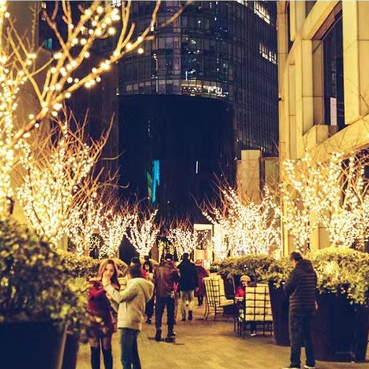 Menschen gehen nachts eine Straße entlang, beleuchtet von leuchtenden Lichtern an Bäumen, mit Gebäuden im Hintergrund.
