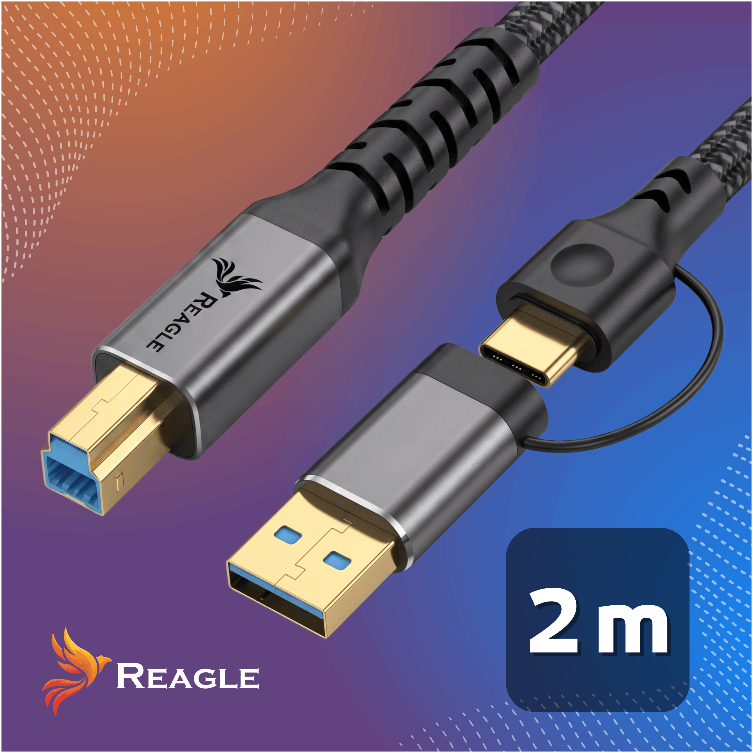 Cables USB-C y USB-B dorados con el logotipo de Reagle, longitud de 2m, sobre fondo naranja y azul.