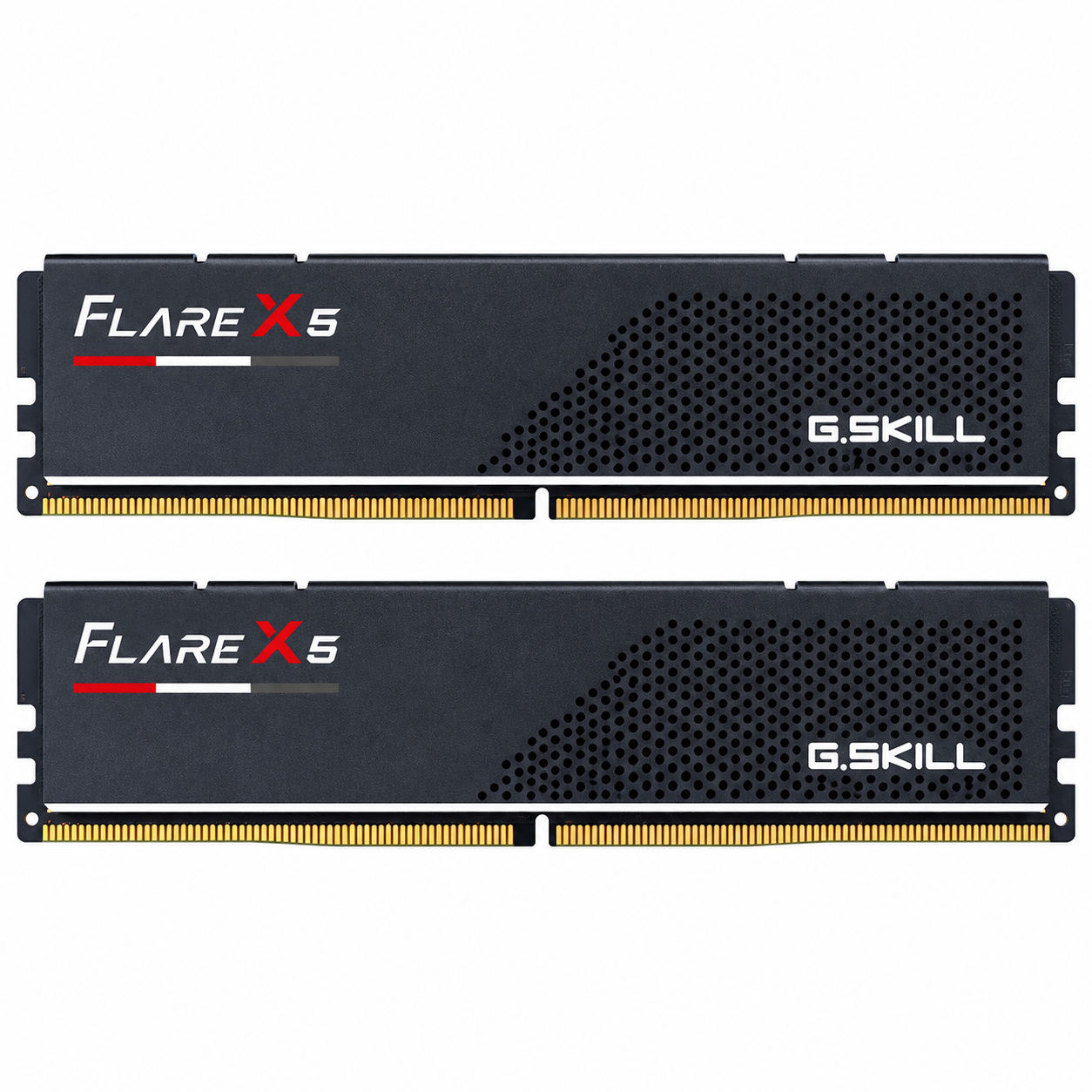 Due moduli RAM DDR5 G.SKILL Flare X5 neri con design perforato e pin di contatto dorati.