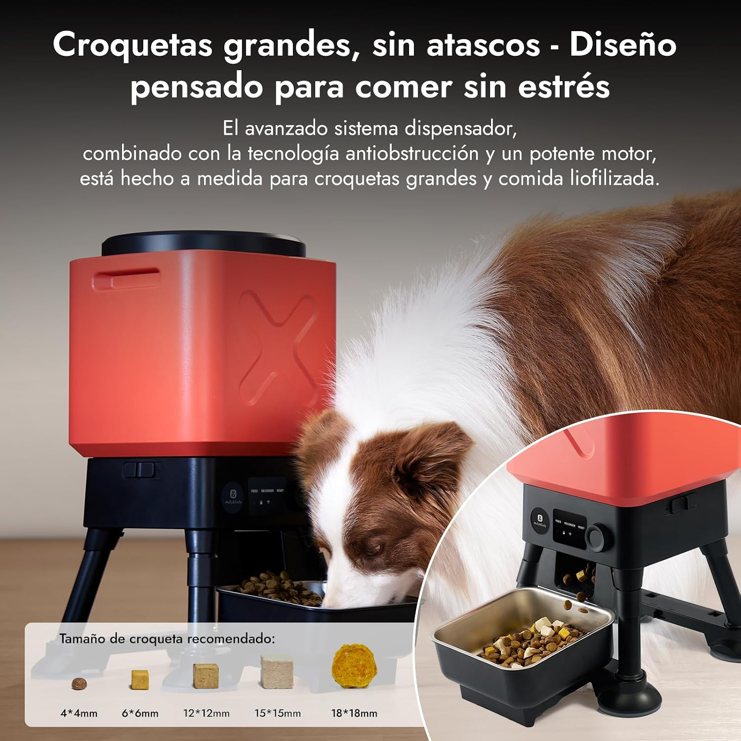 Un perro come de un comedero automático rojo para croquetas grandes con varios tamaños recomendados.