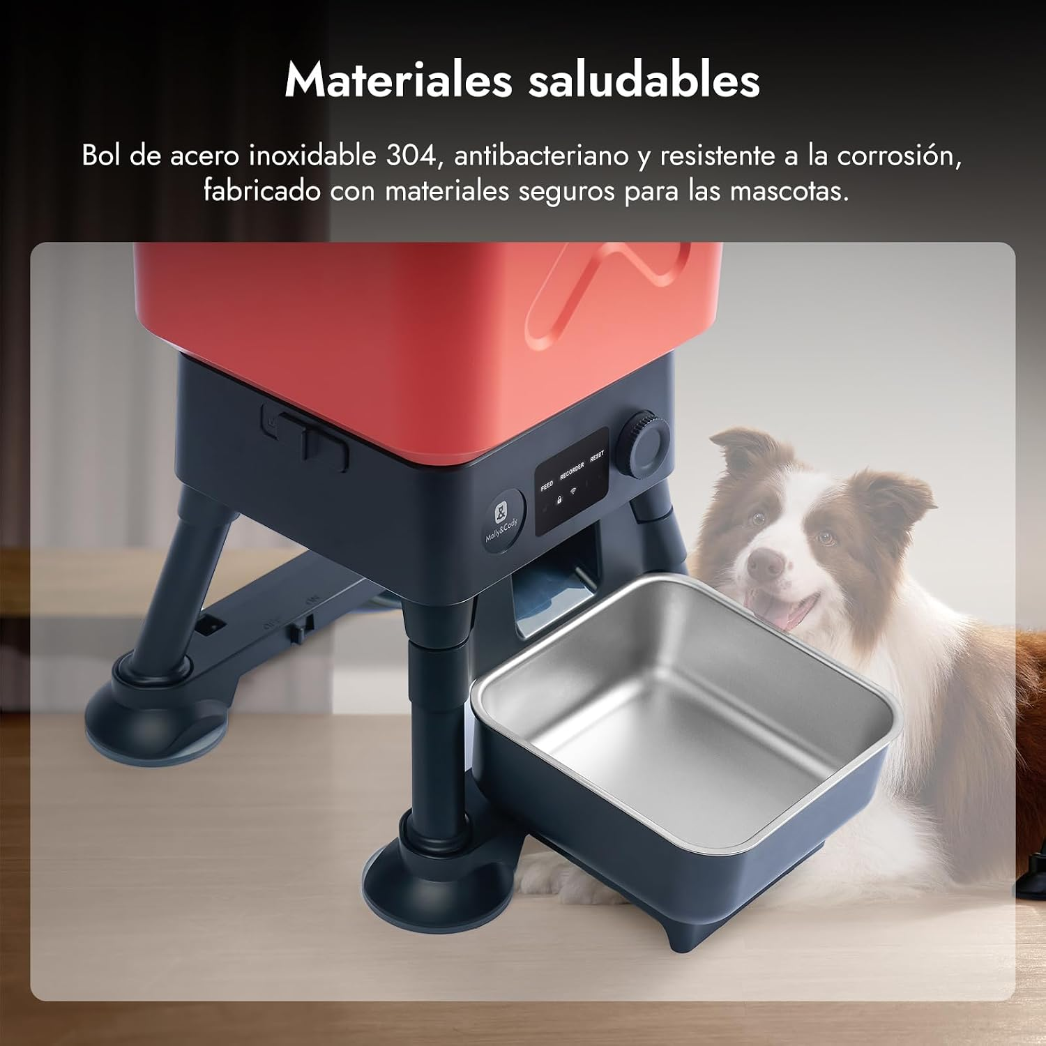 Comedero automático rojo y negro con bol de acero inoxidable y un perro de fondo.