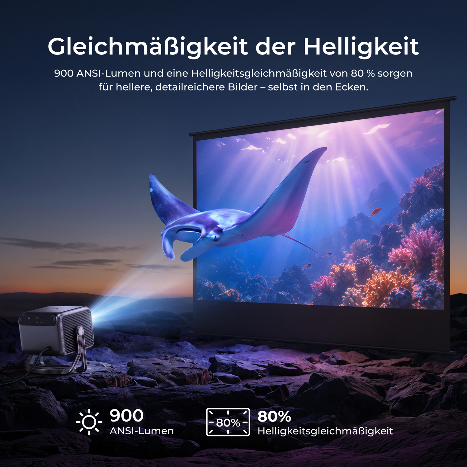 Ein Projektor auf Felsen strahlt ein Unterwasserbild mit einem Manta auf eine Leinwand.