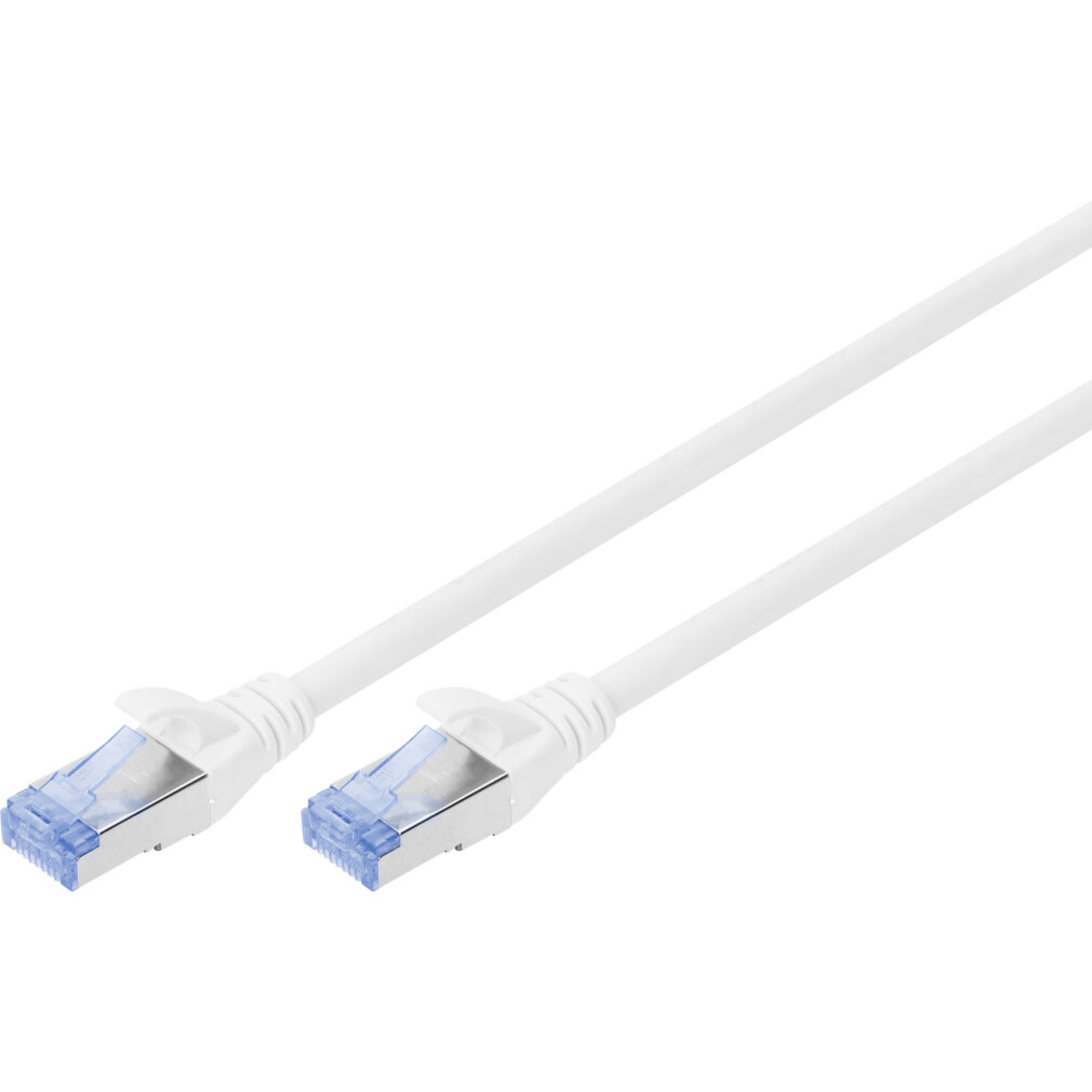 Dos cables Ethernet blancos con conectores RJ45 sobre fondo blanco.