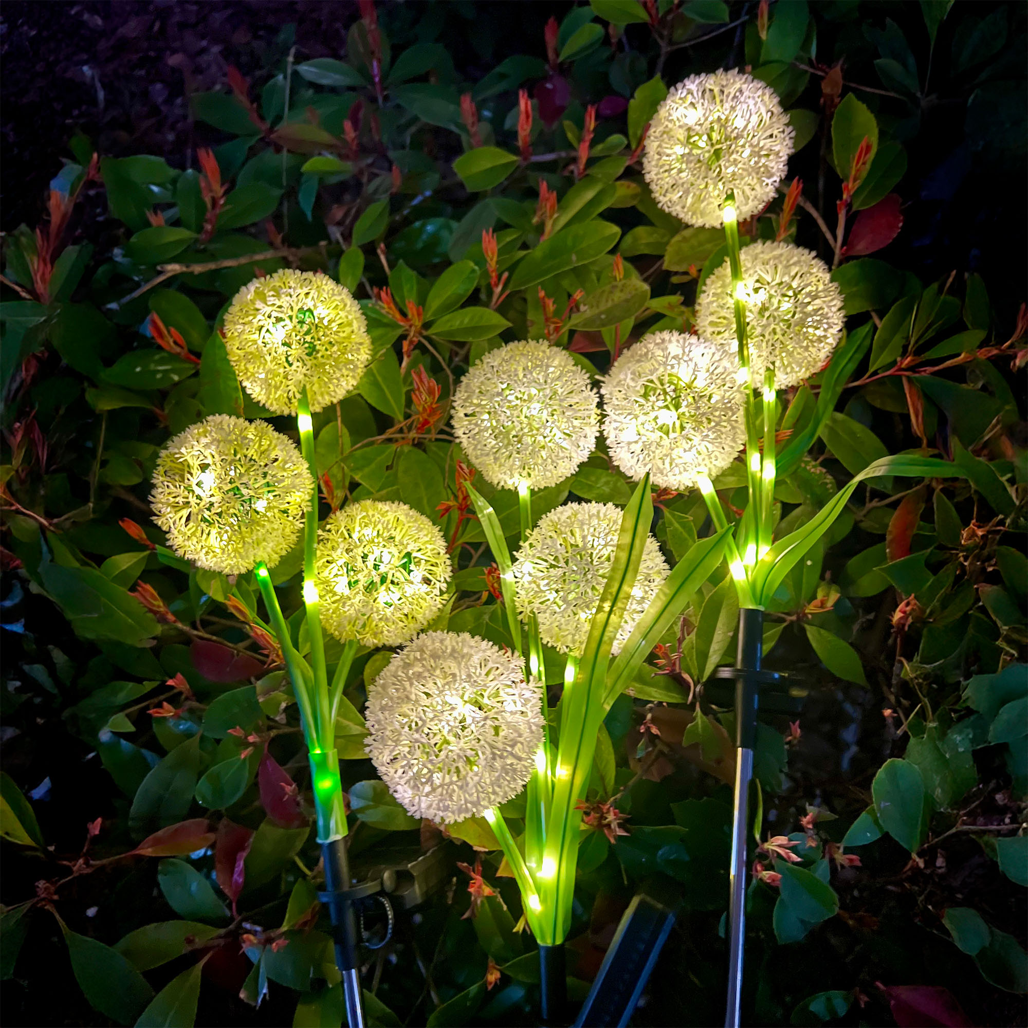 Świecące lampy ogrodowe w kształcie mniszka lekarskiego oświetlają nocą zielone liście.