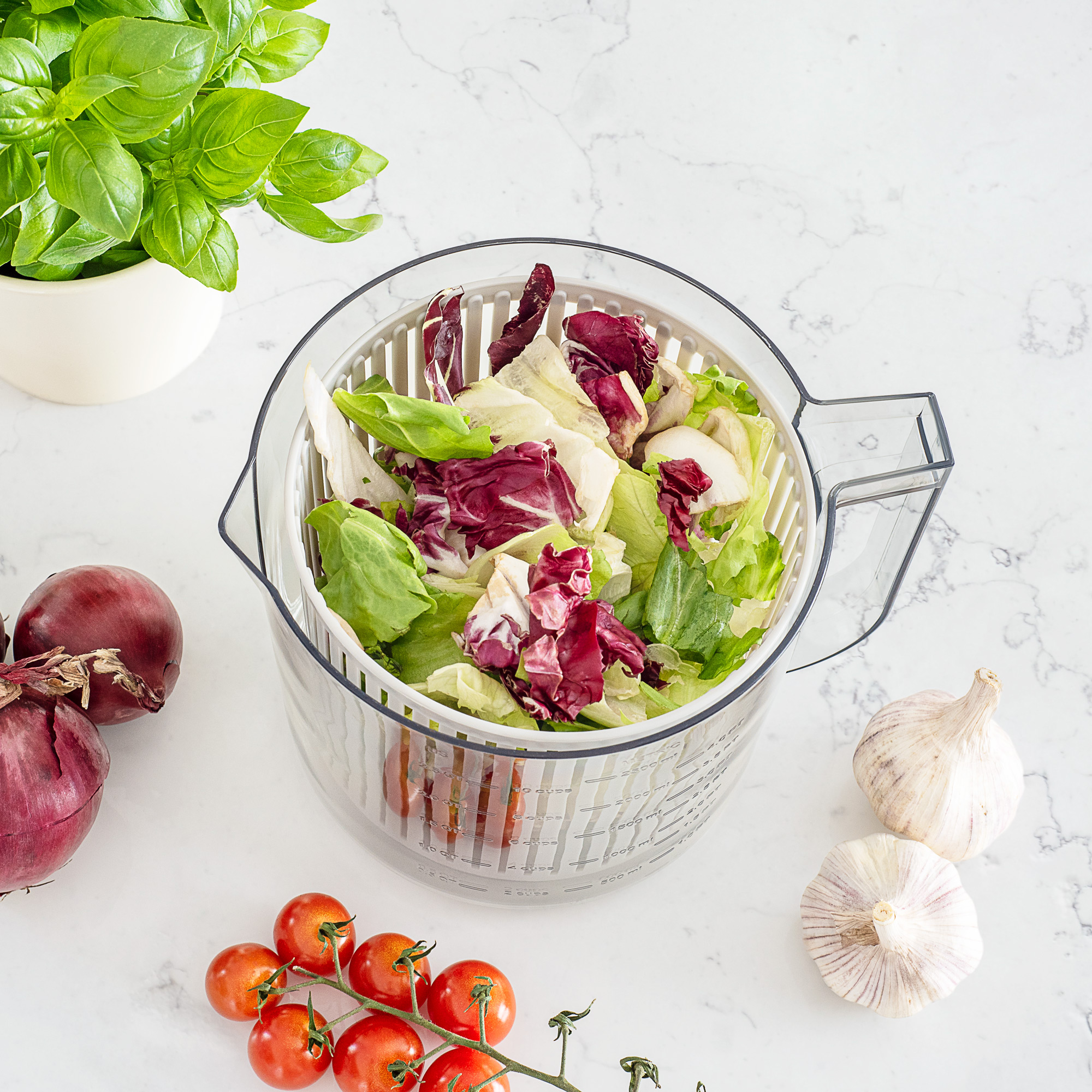 Przezroczysta wirówka do sałaty z sałatą, radicchio i grzybami, otoczona warzywami.