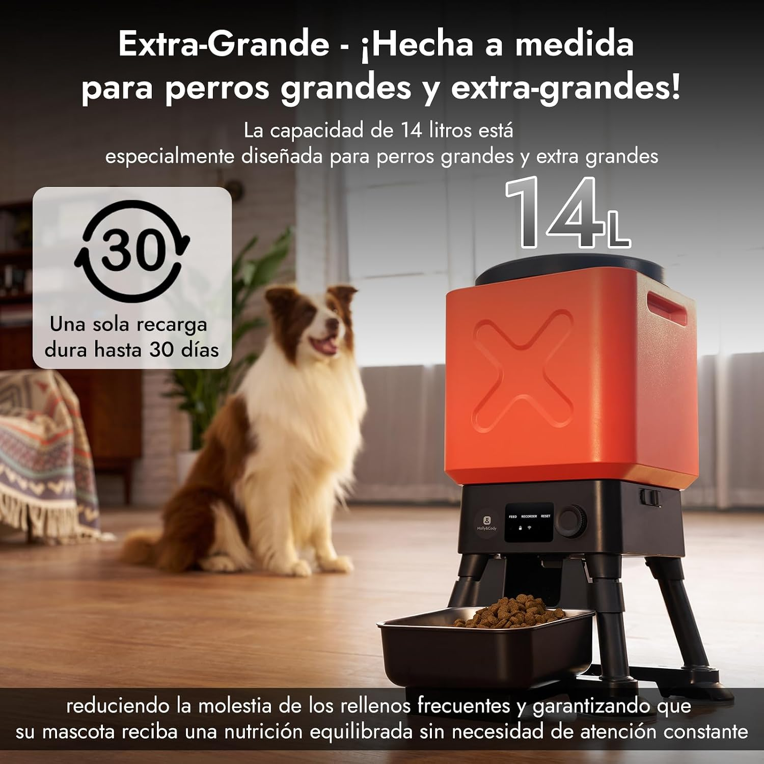 Comedero automático con recipiente naranja y un perro sentado al fondo en interiores.