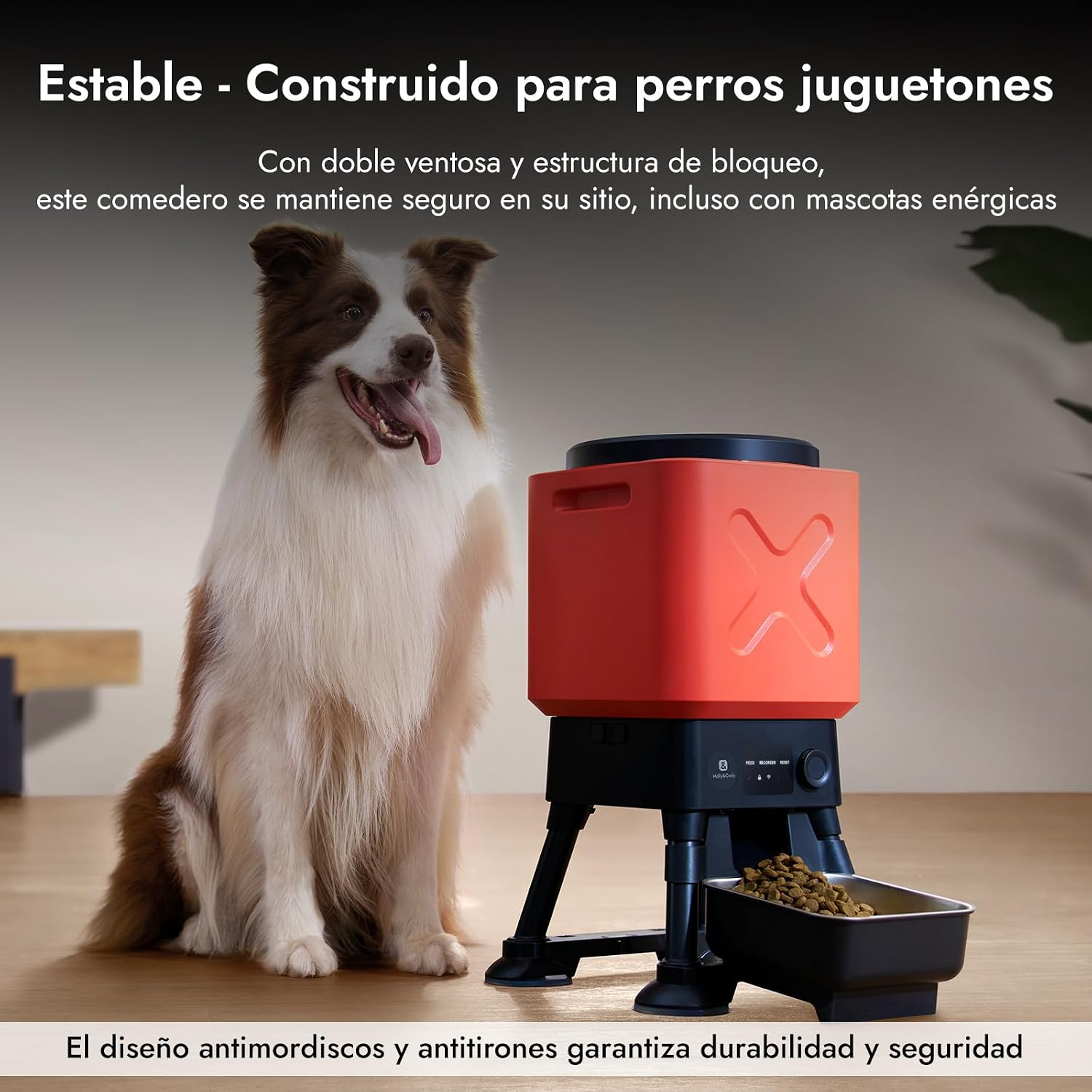 Un Border Collie se sienta junto a un comedero automático rojo para mascotas con un cuenco.