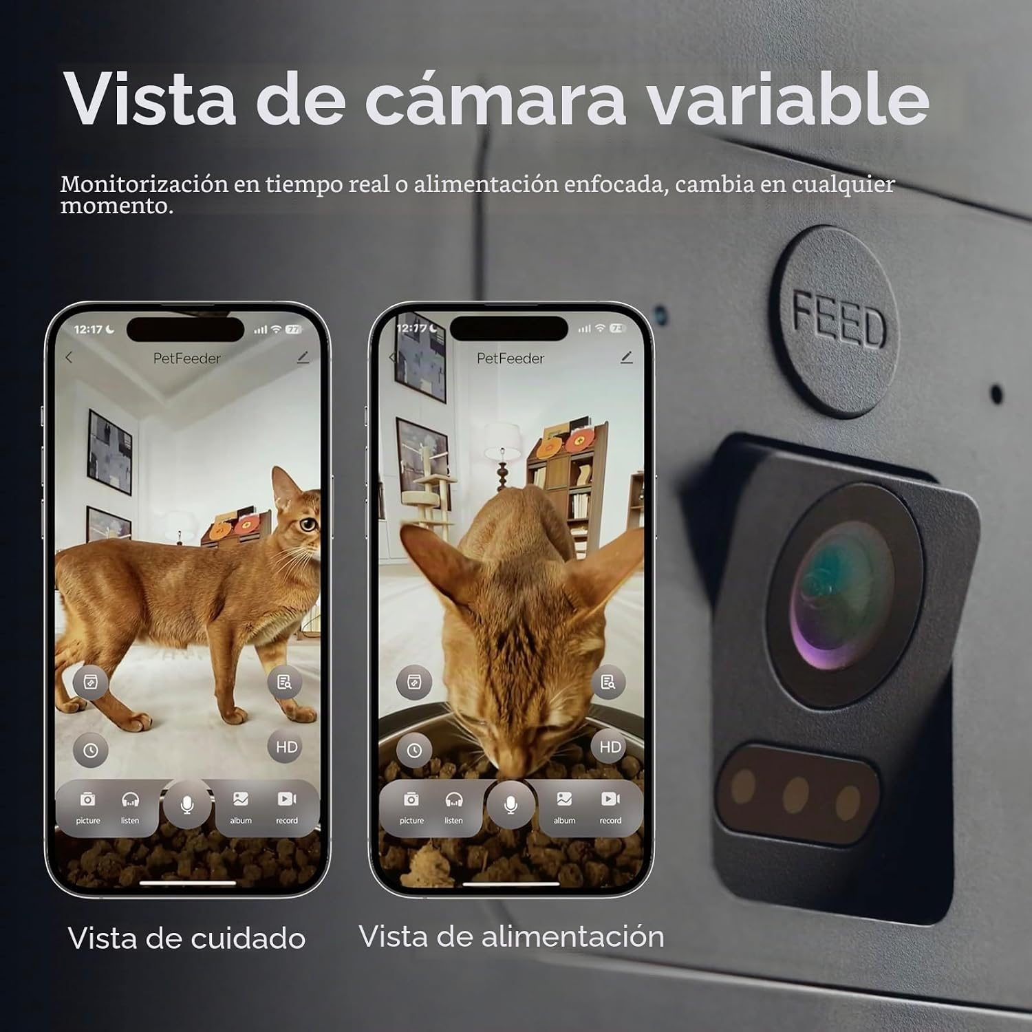 Dos smartphones muestran la vista en directo de una cámara para mascotas monitoreando un gato.