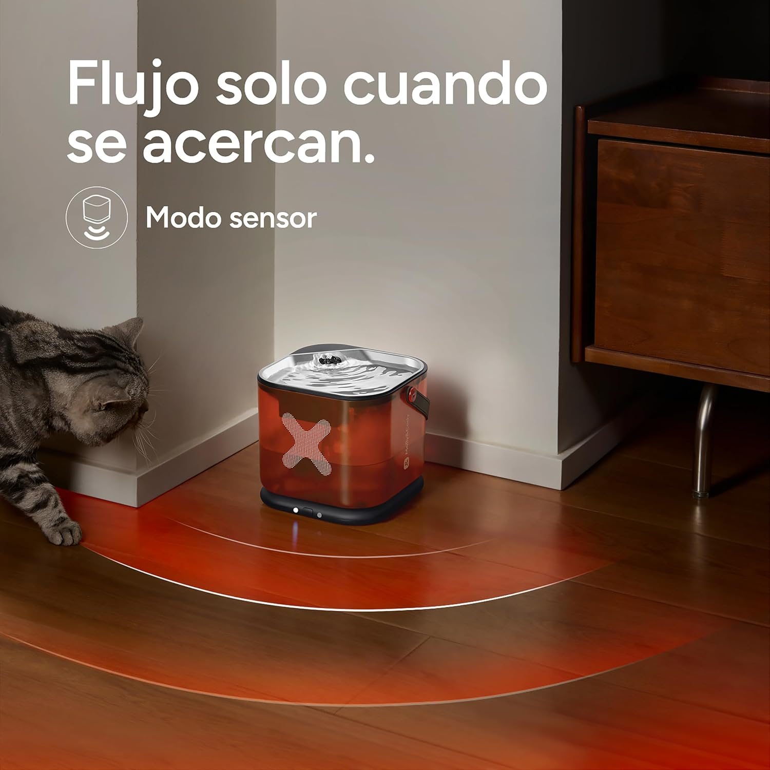 Un gato se acerca a una fuente de agua iluminada en rojo en el suelo de madera.