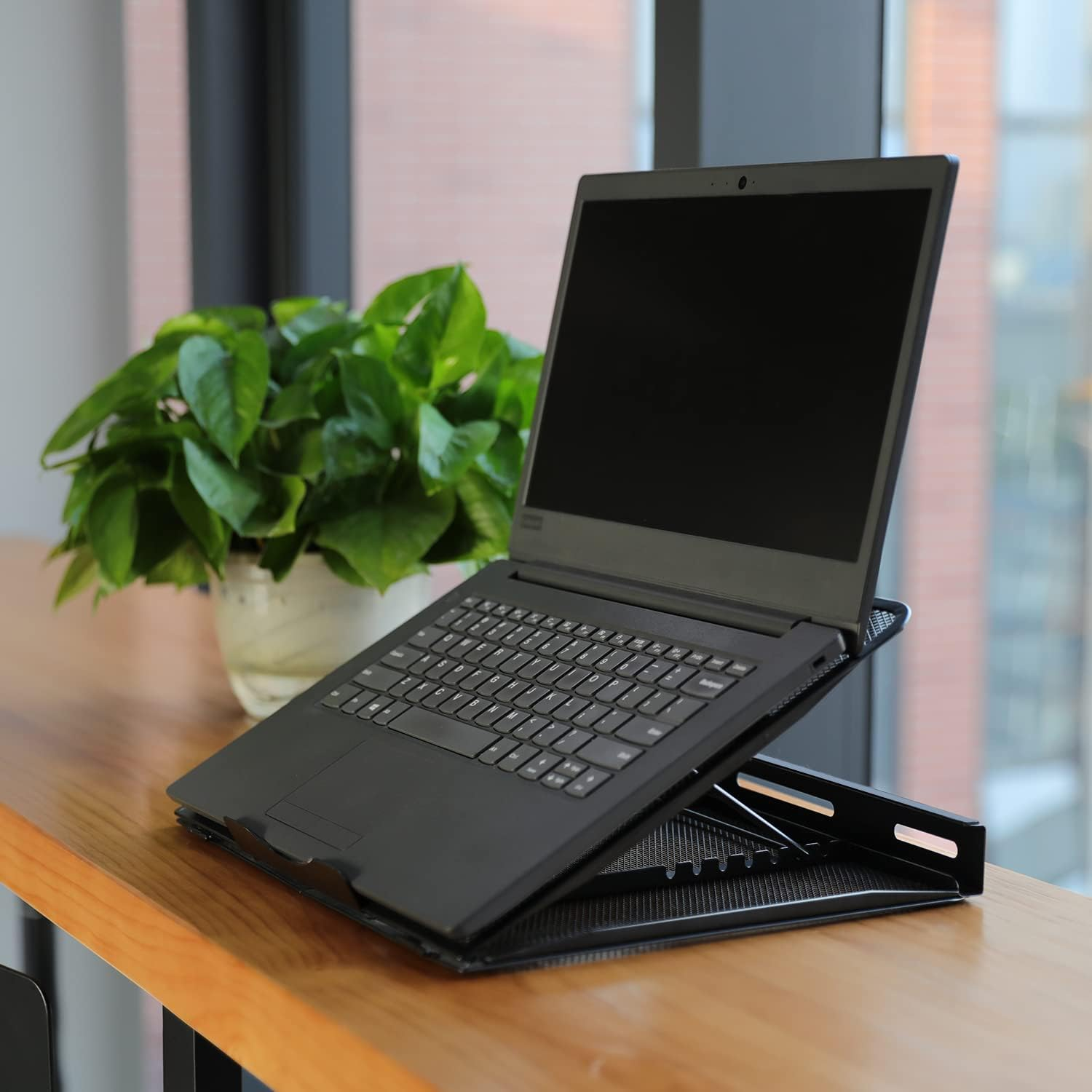 Ein schwarzer Laptop steht auf einem Ständer auf einem Holztisch, im Hintergrund ist eine grüne Topfpflanze zu sehen.