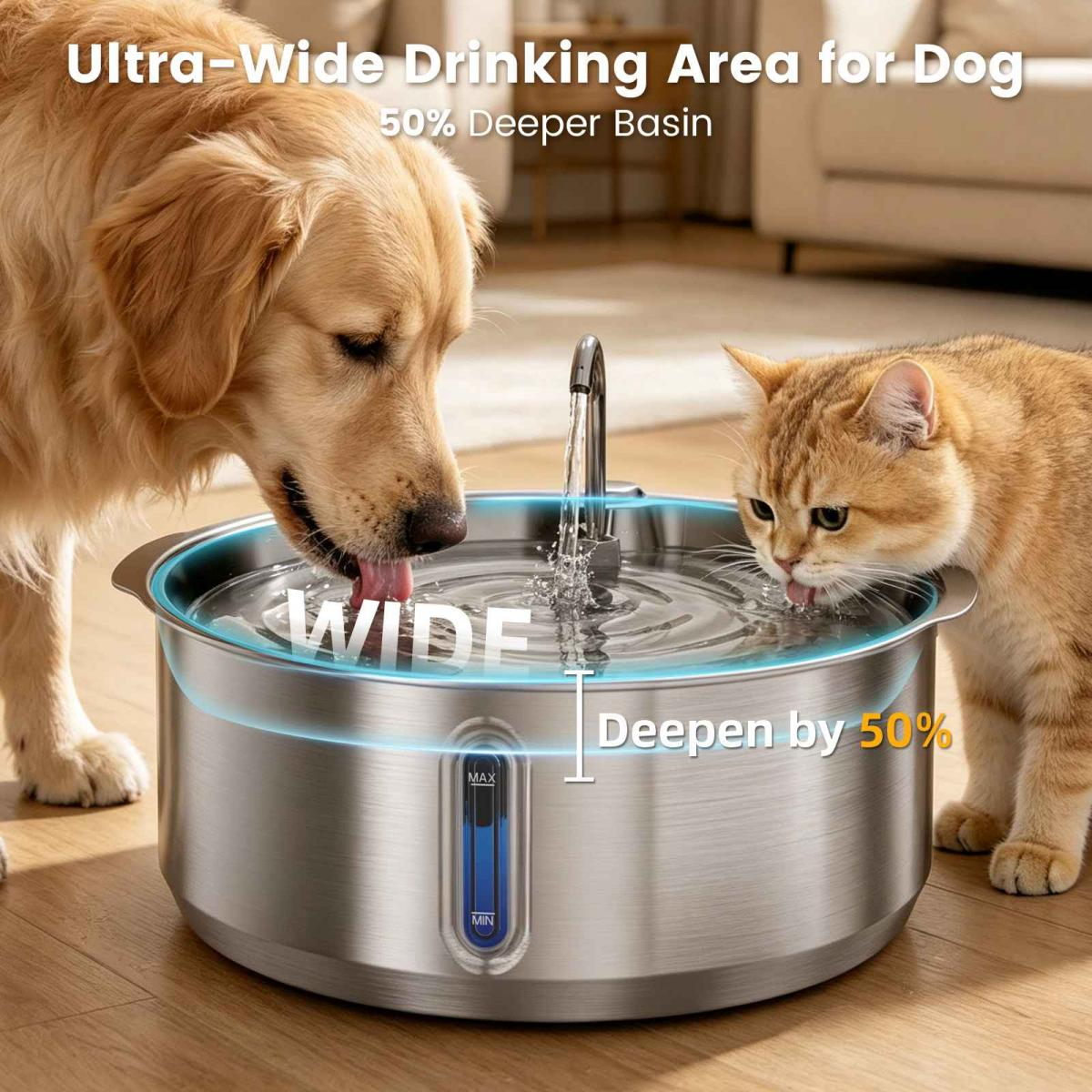 Ein Golden Retriever und eine orange Katze trinken Wasser aus einem großen Haustierbrunnen.