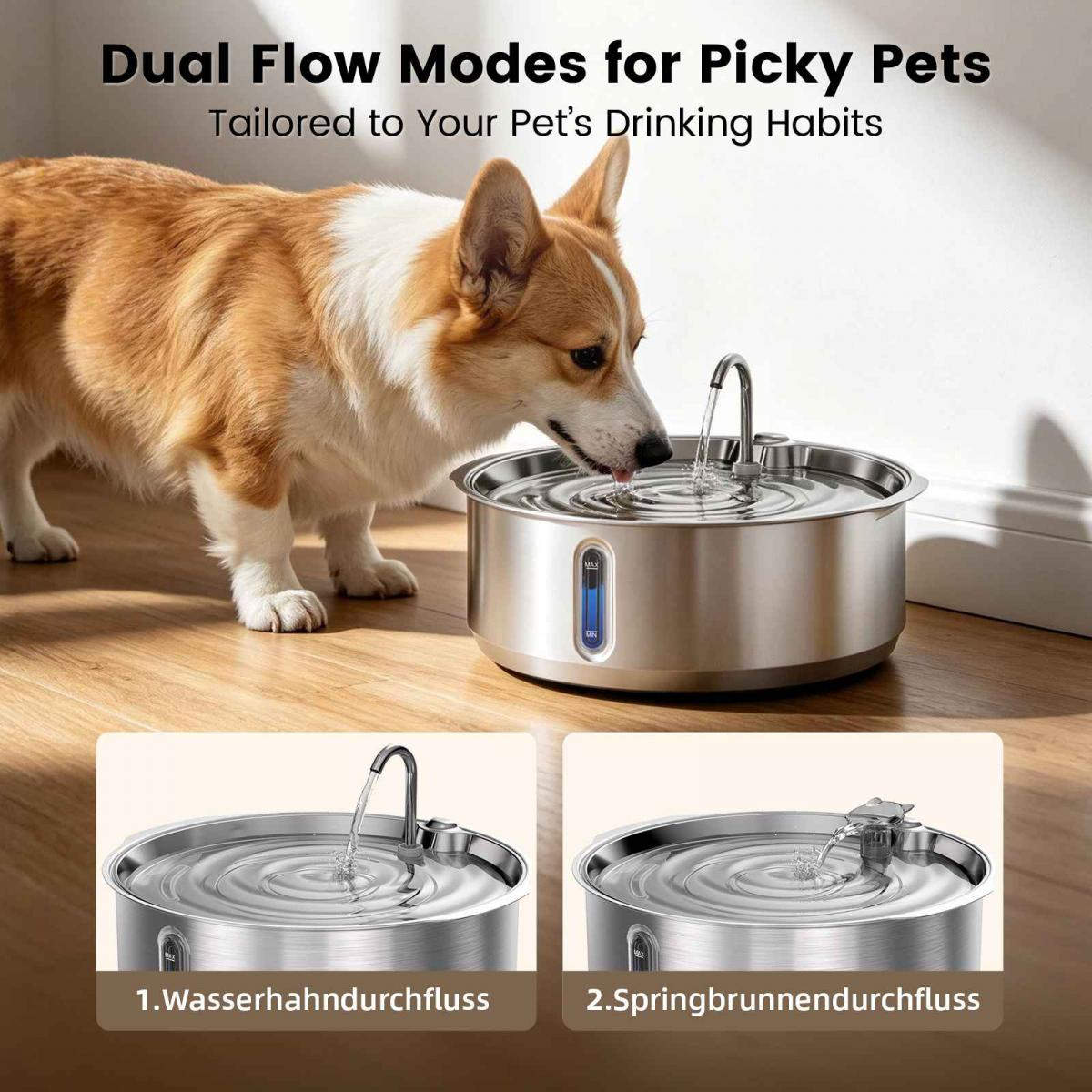 Ein Corgi trinkt aus einem Edelstahl-Haustierbrunnen auf Holzboden, mit zwei Flussmodus-Einsätzen unten.