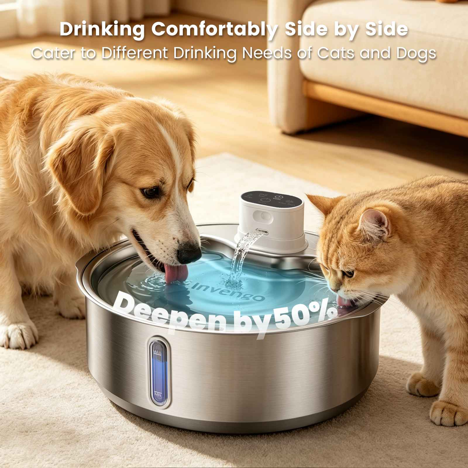 Ein goldener Hund und eine Katze trinken gleichzeitig aus demselben runden Wasserspender aus Edelstahl.