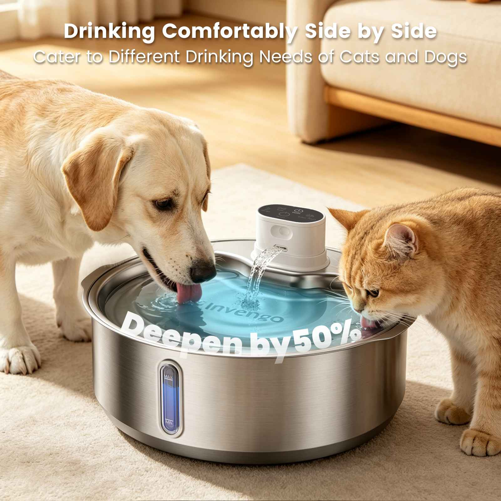 Ein Hund und eine Katze trinken gleichzeitig aus demselben modernen, edelstahlfarbenen Haustierbrunnen auf einem Teppich.