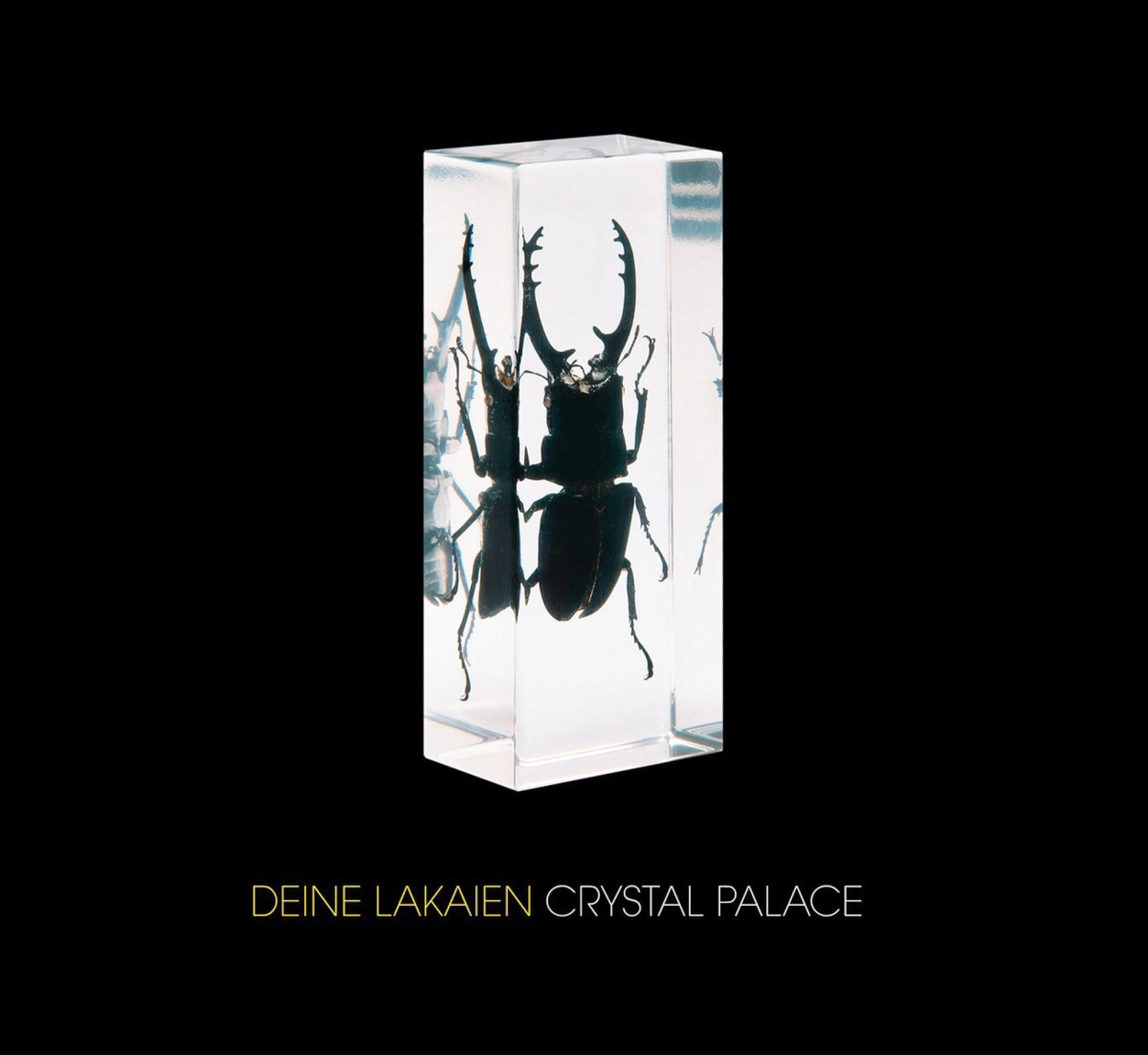 Ein großer Hirschkäfer ist in einem klaren Acrylblock eingeschlossen, mit dem Text "DEINE LAKAIEN CRYSTAL PALACE" darunter.