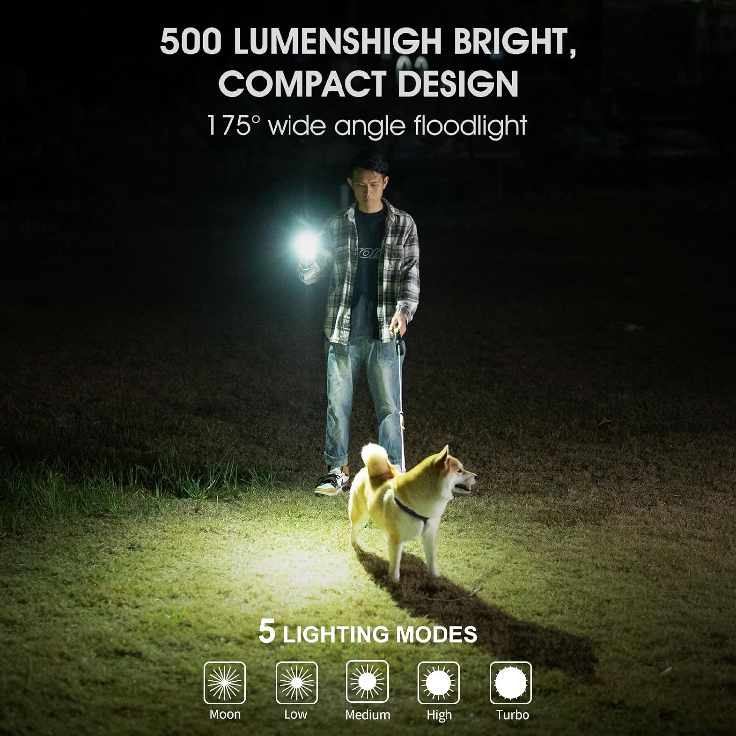 Ein Mann steht nachts im Park, beleuchtet die Wiese mit einer Taschenlampe und führt einen Shiba Inu an der Leine.