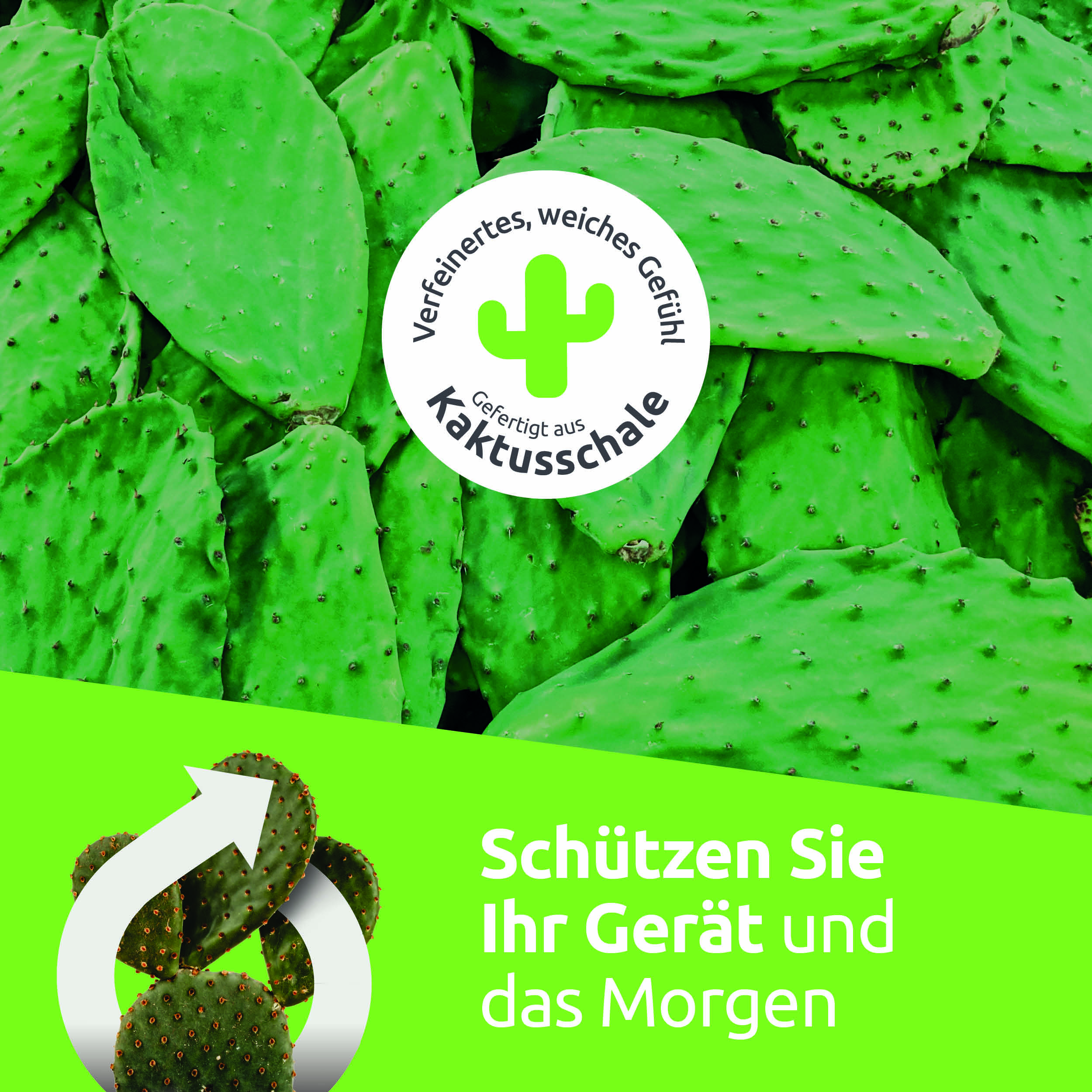 Grüne Kaktusblätter im Hintergrund mit einem runden Logo und weißem Text auf grünem Grund.