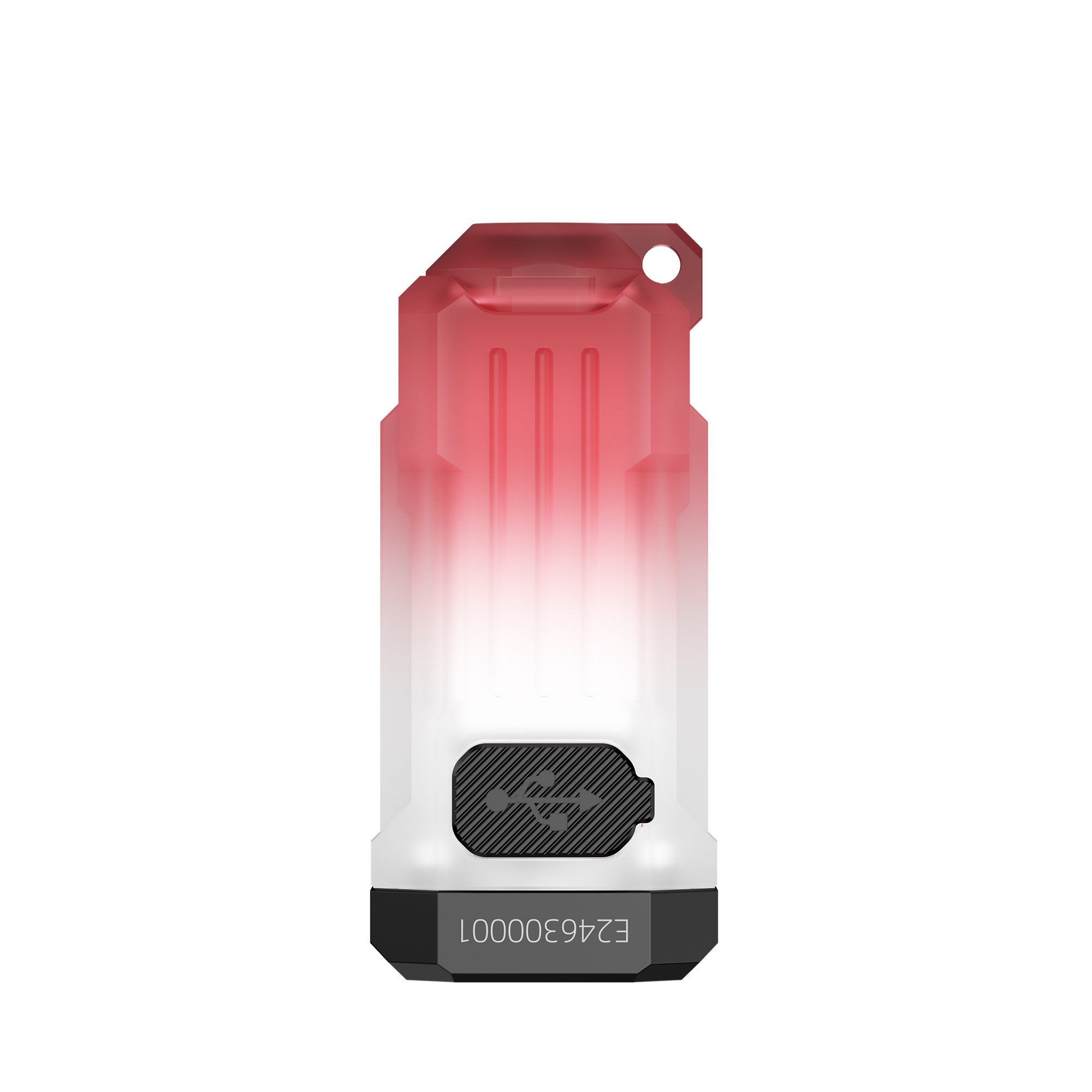 Ein rot-weißer elektronischer Token mit USB-Symbol auf schwarzem Knopf und Seriennummer E24630001.