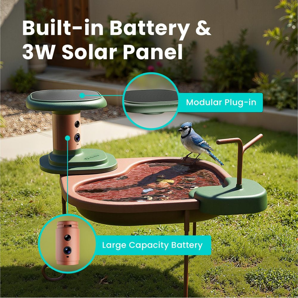 Eine smarte Vogelbadewanne mit Solarpanel, Kamera und einem Blaunäher am Rand in einem Garten.