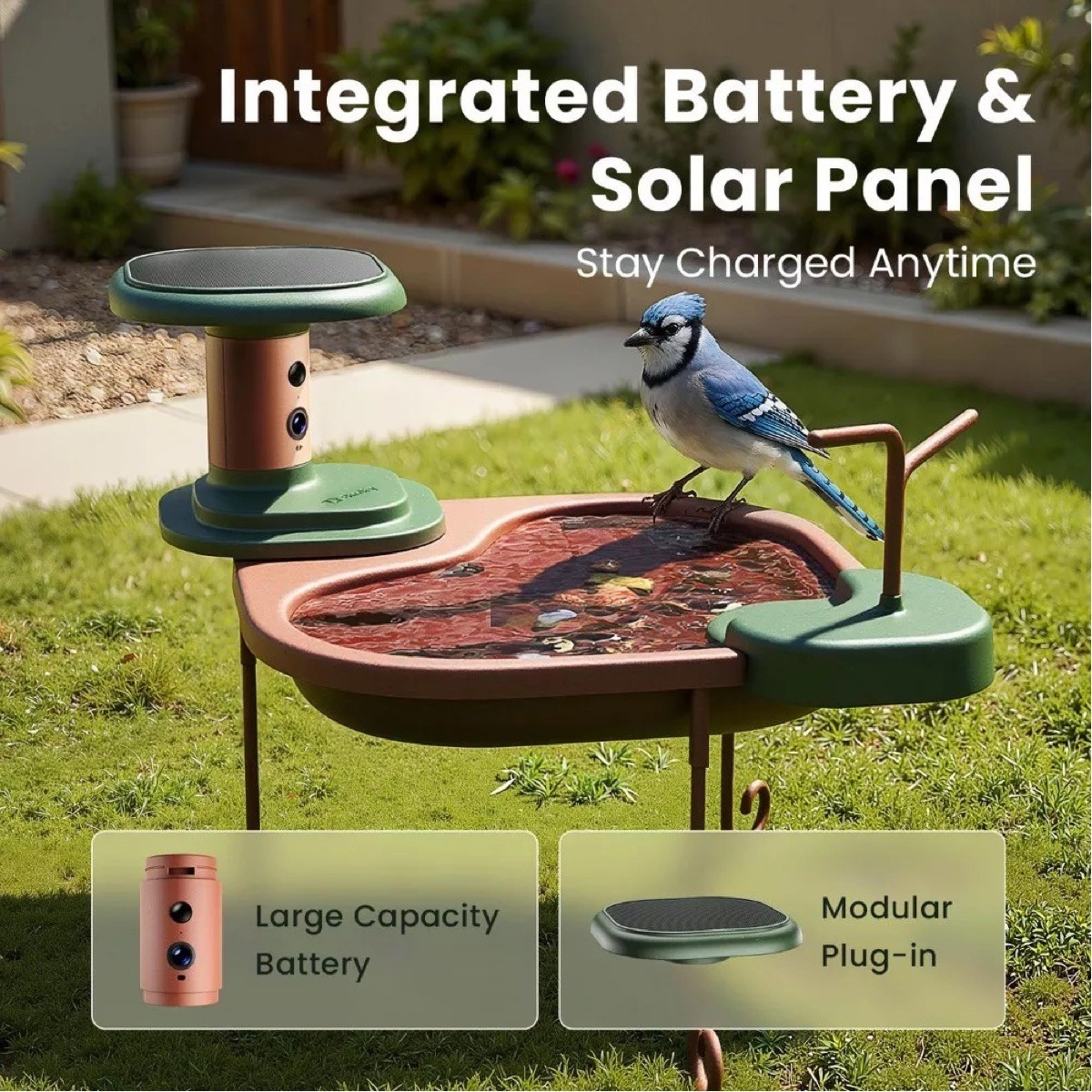 Ein Blauhäher steht auf einem intelligenten Vogelbad mit Kamera und Solarpanel.