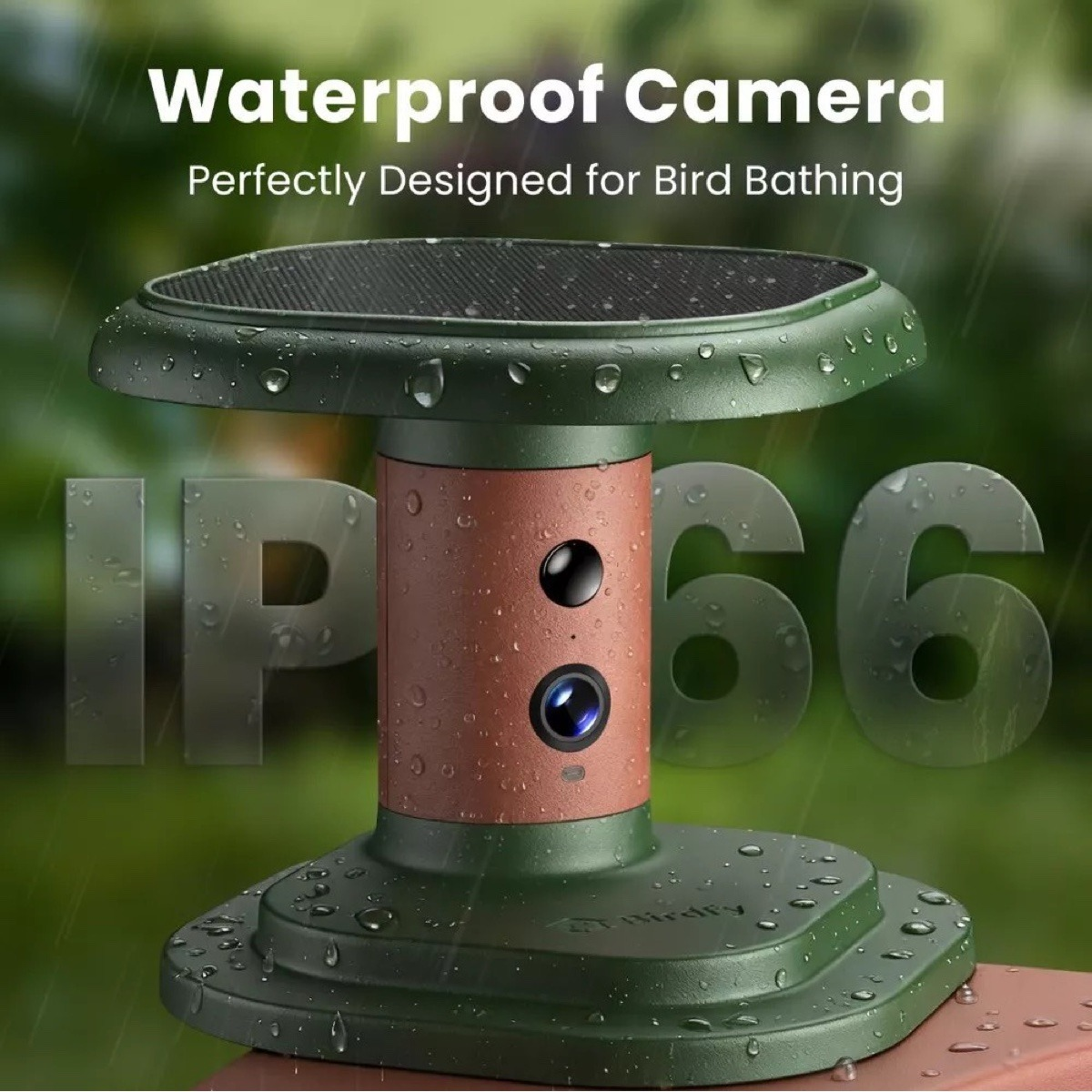 Eine grüne und braune IP66 wasserdichte Vogelbadkamera mit Wassertropfen im Regen.