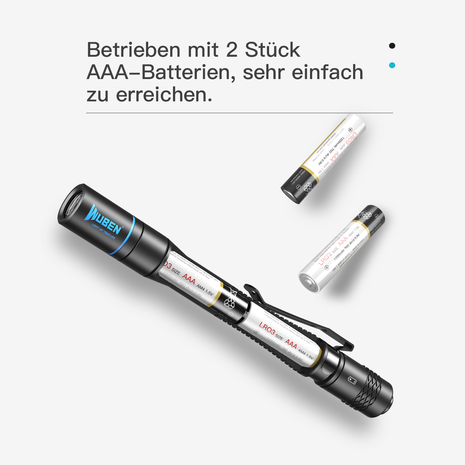Eine schwarze Taschenlampe und zwei AAA-Batterien auf hellem Hintergrund.