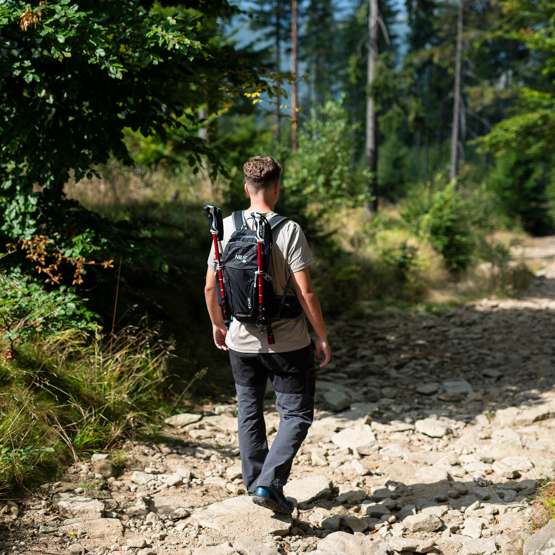 Wędrowiec z plecakiem i kijkami trekkingowymi idzie kamienistą leśną ścieżką.