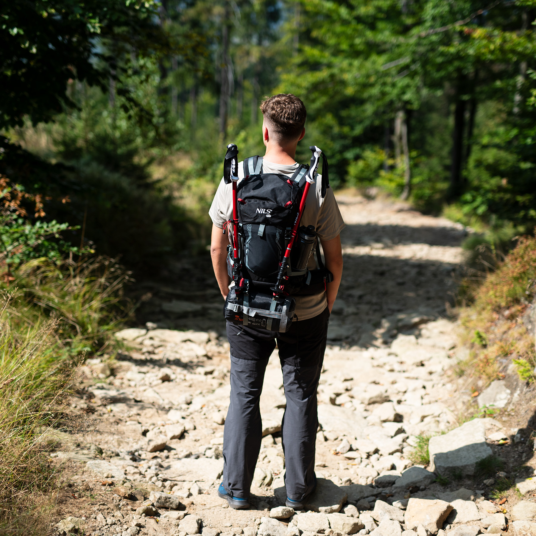 Wędrowiec z plecakiem i kijkami trekkingowymi stoi na kamienistej leśnej ścieżce.